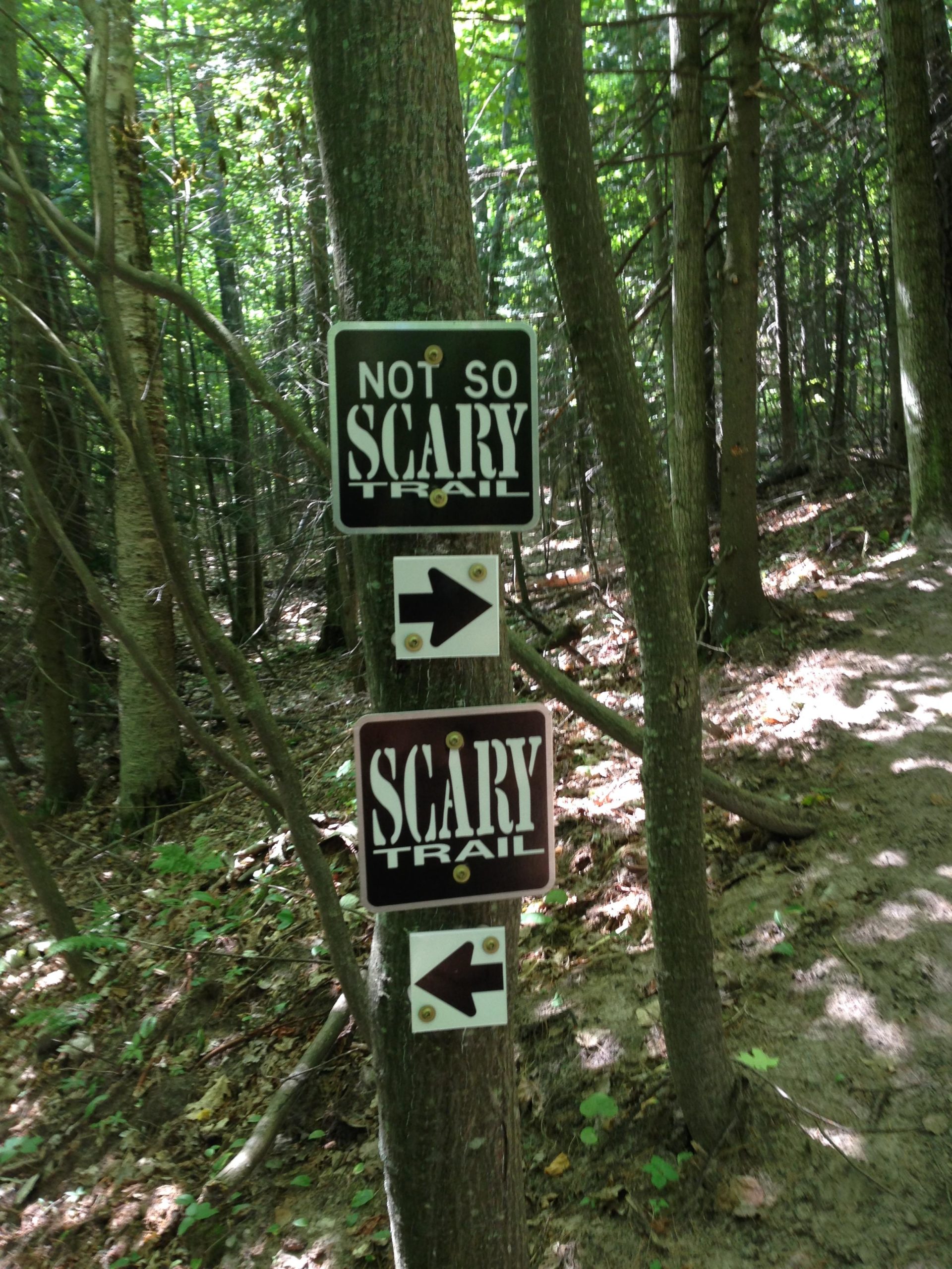 Signs in a wooded area indicate two hiking trail options: one labeled "NOT SO SCARY TRAIL" with an arrow pointing right, and another labeled "SCARY TRAIL" with an arrow pointing left. The surroundings are filled with tall trees and greenery. Noquemanon Trails Network: South Marquette Trails mountain bike trail.