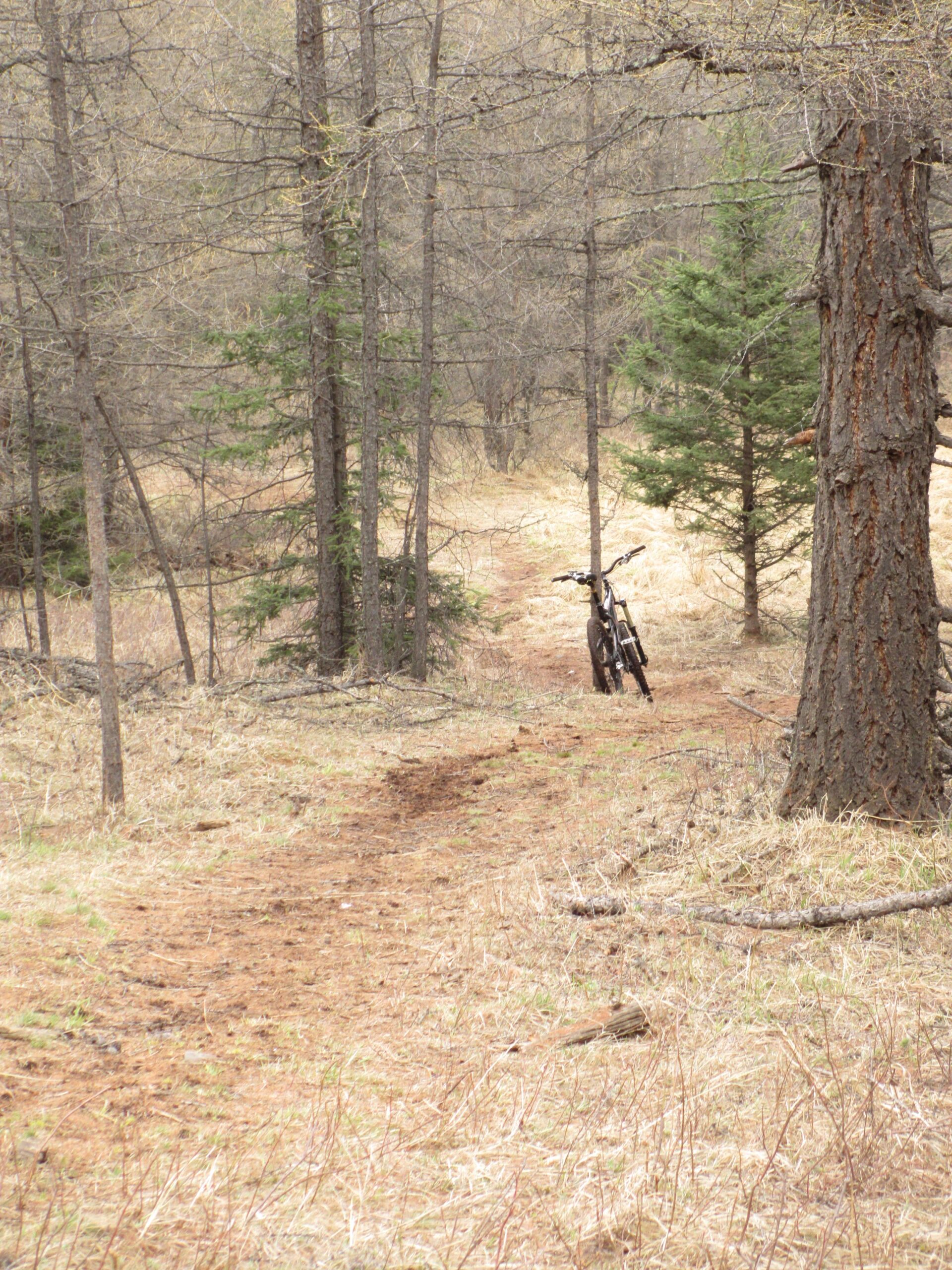 A mountain bike positioned on a dirt trail amidst a forest with sparse trees and grass. The surroundings are somewhat barren, indicating early spring or autumn. The path winds through the trees, suggesting a recreational area for biking or hiking. Zaisan Chutes mountain bike trail.