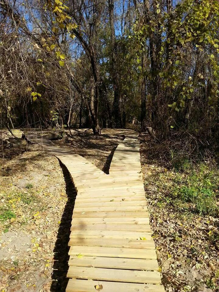 A winding wooden walkway through a forested area, surrounded by trees with sparse leaves and a clear blue sky above. The path curves gently, leading into the greenery and fallen leaves on the ground. Kiwanis - Mankato mountain bike trail.