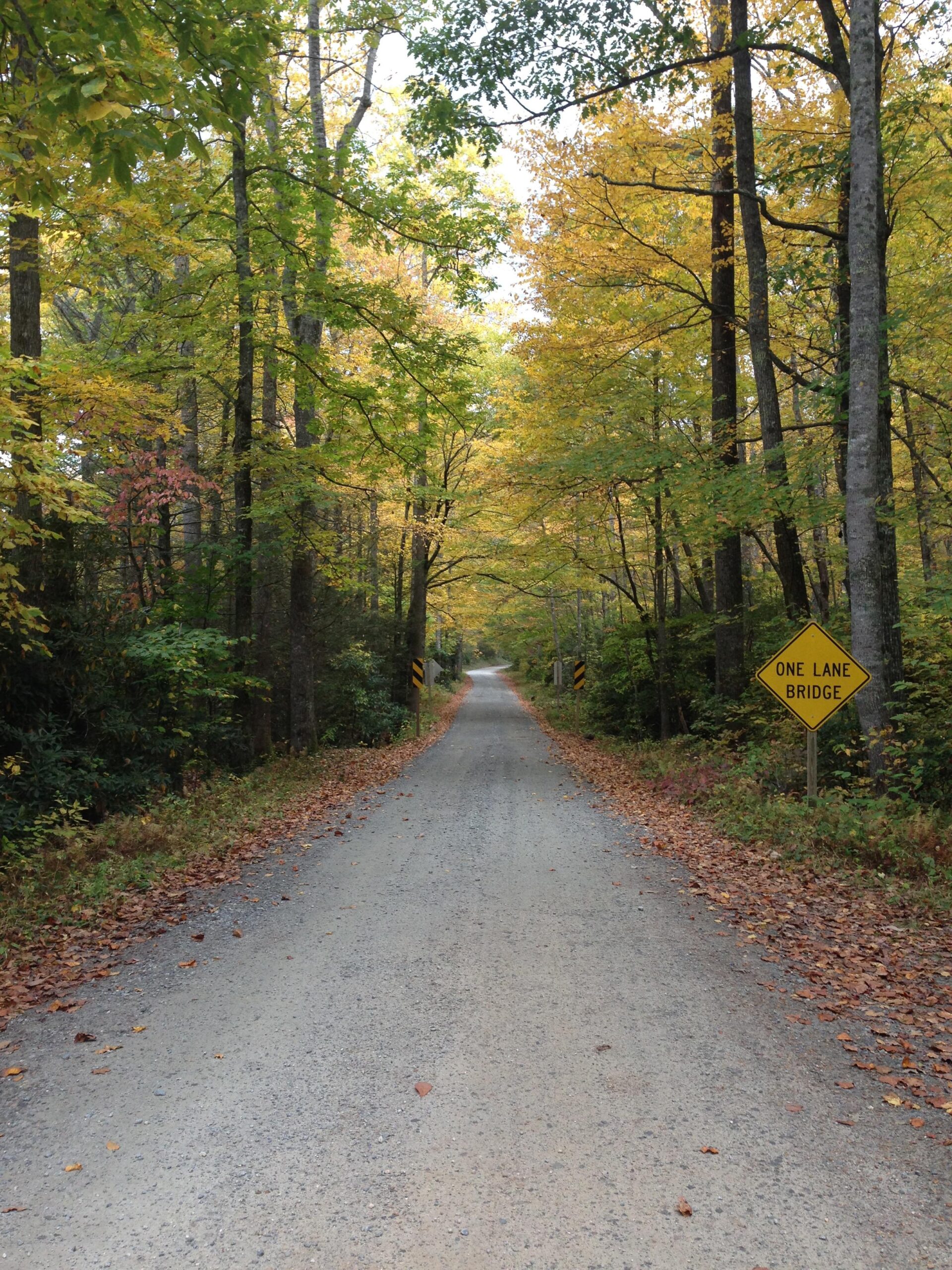 A narrow, gravel road stretches through a forest of autumn trees, with vibrant yellow and green leaves. A caution sign for a one-lane bridge is visible on the right side, framed by the natural scenery. Fallen leaves cover the edges of the roadway, suggesting the season. YellowGap Rd/1206 mountain bike trail.