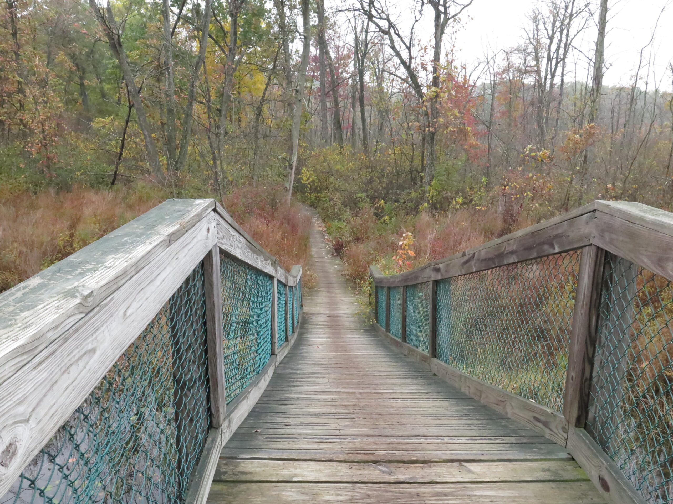 A wooden bridge with a green mesh railing leading into a natural landscape filled with trees and colorful foliage. The path appears to wind gently through the vegetation, showcasing the peacefulness of a wooded area in autumn. Potawatomi trail mountain bike trail.