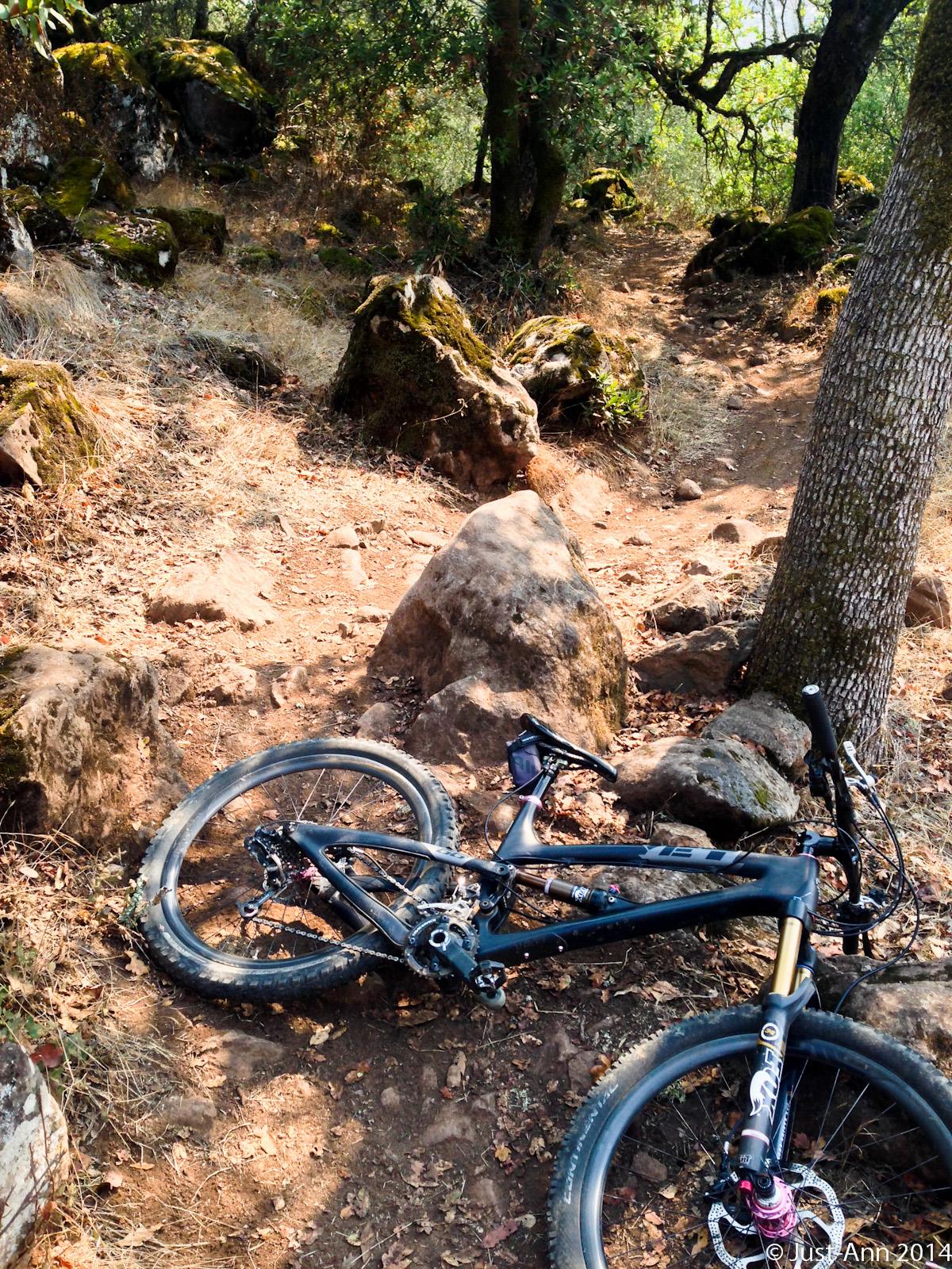 A mountain bike resting on a dirt trail surrounded by rocks and trees in a forested area. The scene features dry leaves and uneven terrain, indicating a natural outdoor setting. Annadel State Park mountain bike trail.