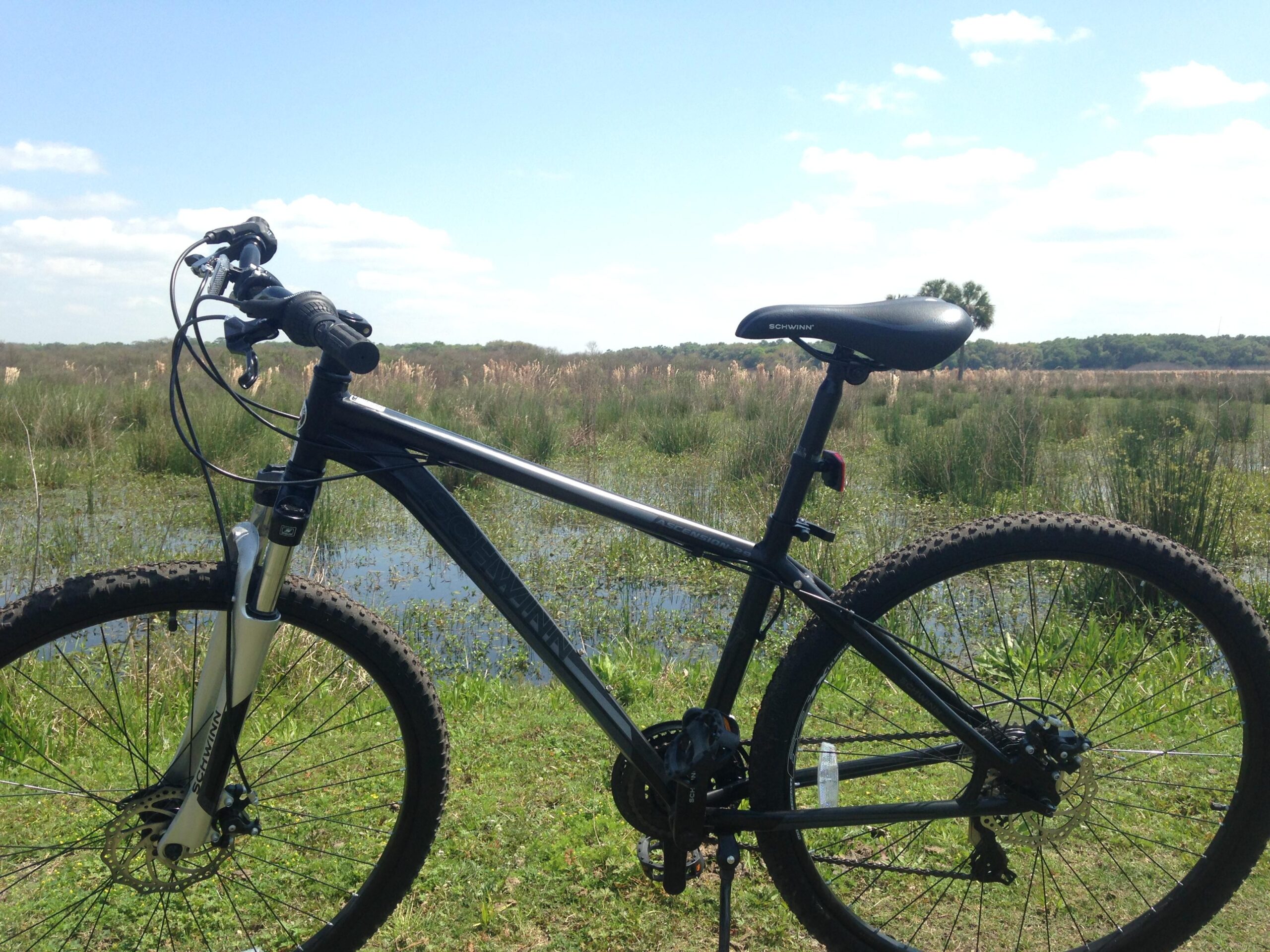A black mountain bike parked on grassy terrain near a serene body of water, with lush, green plants and trees in the background under a clear blue sky with scattered clouds.