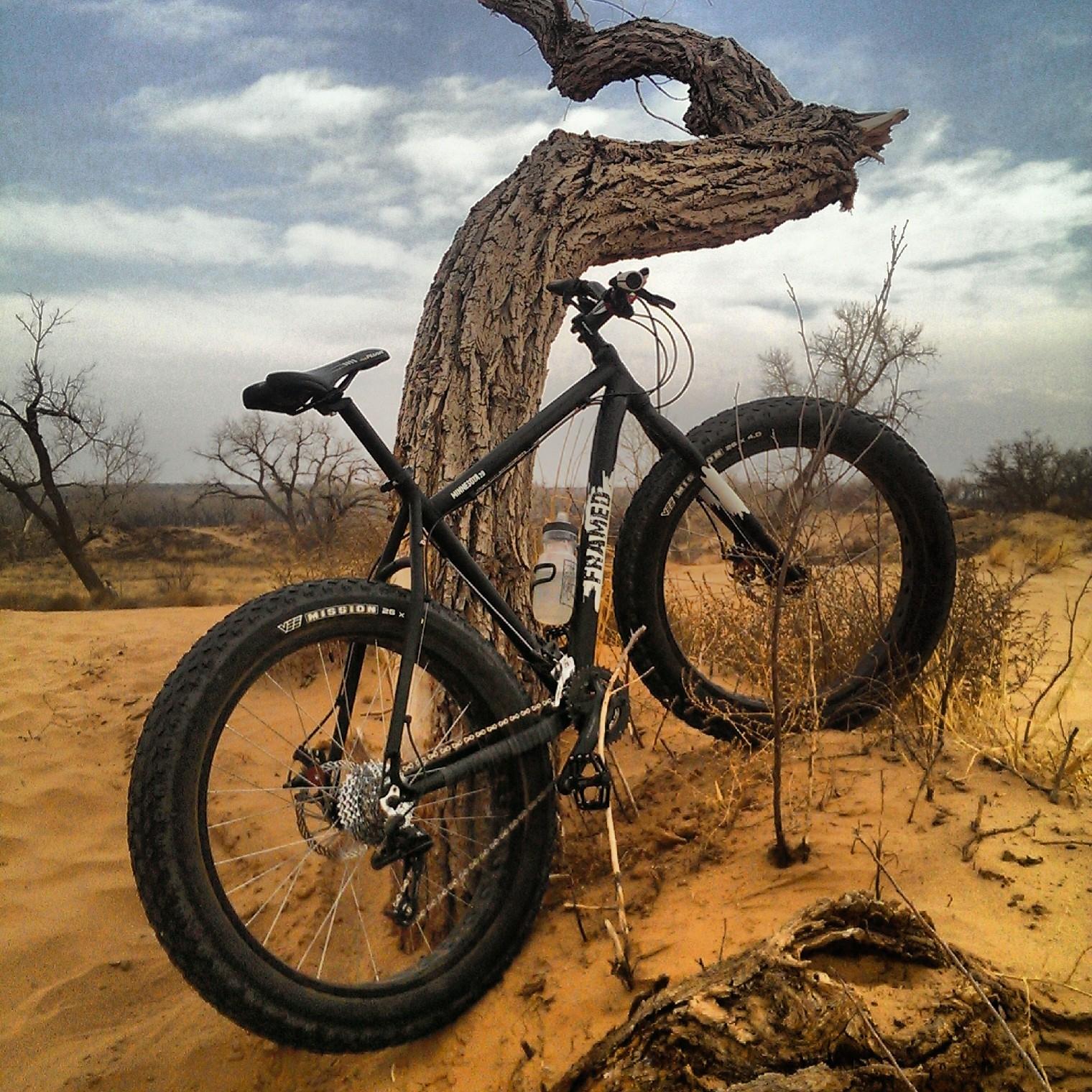 Framed Minnesota 2.0: A black fat tire bike leaning against a twisted tree in a sandy desert landscape, with sparse vegetation and a cloudy sky in the background.