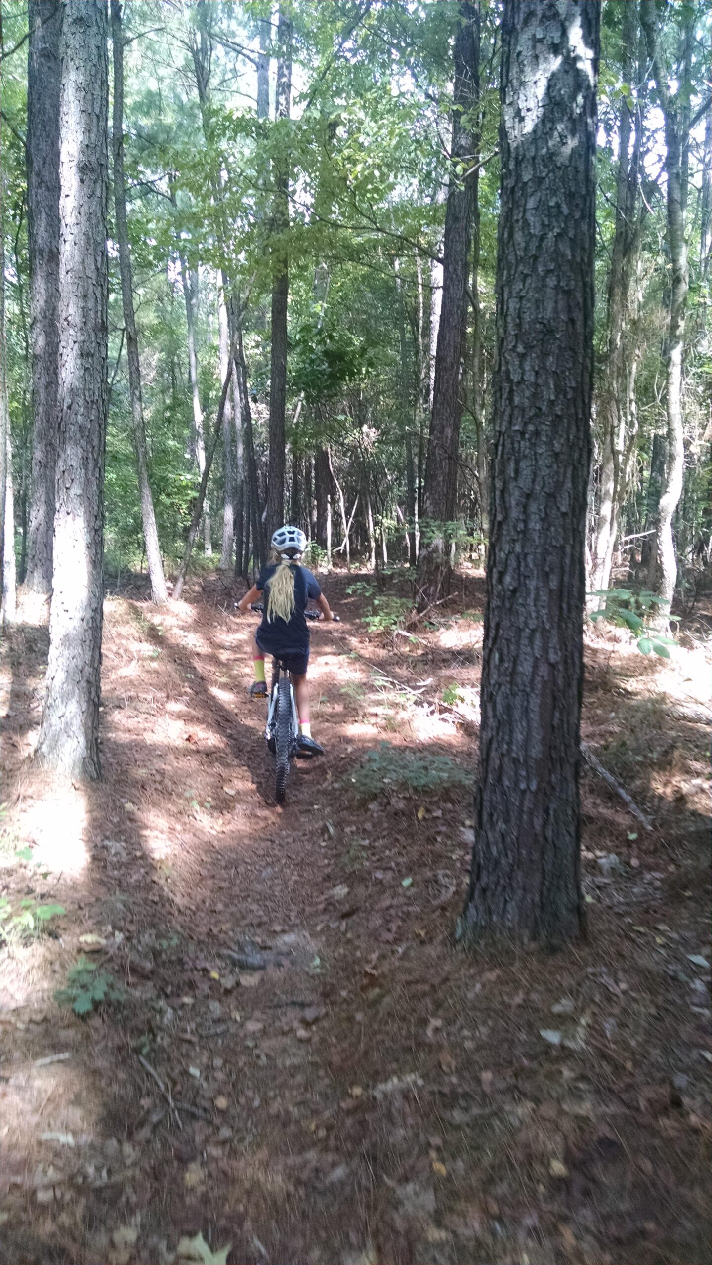 Yeti ASR 5 Carbon: A child riding a bicycle on a narrow dirt trail through a lush forest, surrounded by tall trees and dappled sunlight filtering through the leaves. The child is wearing a helmet and has long hair, seen from behind as they navigate the path.