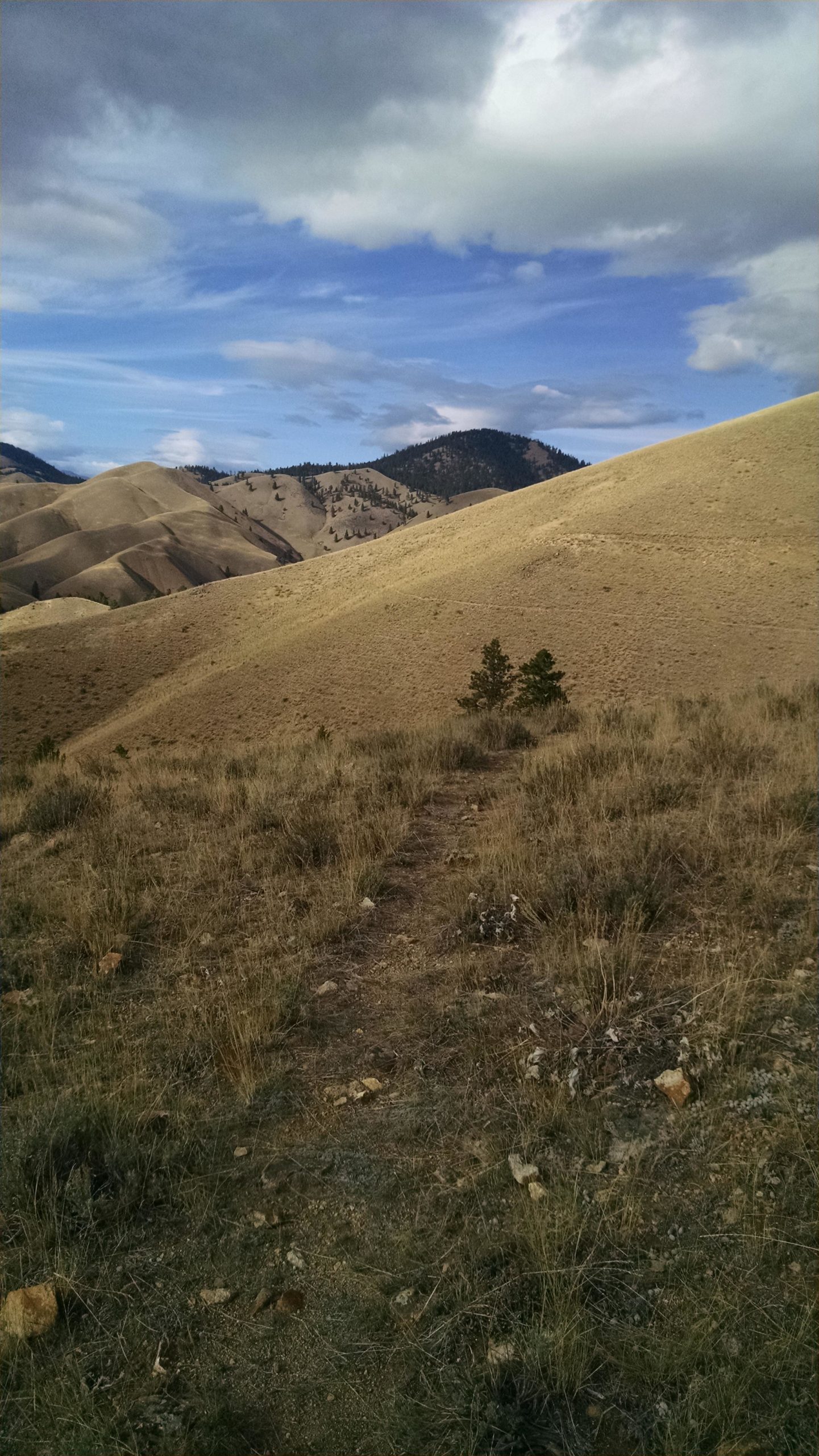 A winding dirt path leads through dry, grassy hills under a partly cloudy sky. The background features rolling hills with scattered trees and distant mountains. The landscape is warm-toned, dominated by earthy hues of brown and green. Wagonhammer Trail System mountain bike trail.