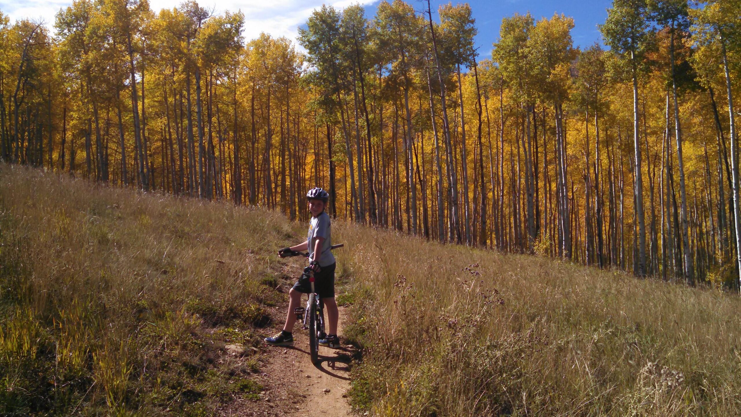 A person in a gray shirt and helmet is standing next to a mountain bike on a trail surrounded by tall grasses. In the background, there are vibrant yellow and green aspen trees against a blue sky, signaling the peak of autumn foliage. Beaver Creek Ski Resort mountain bike trail.