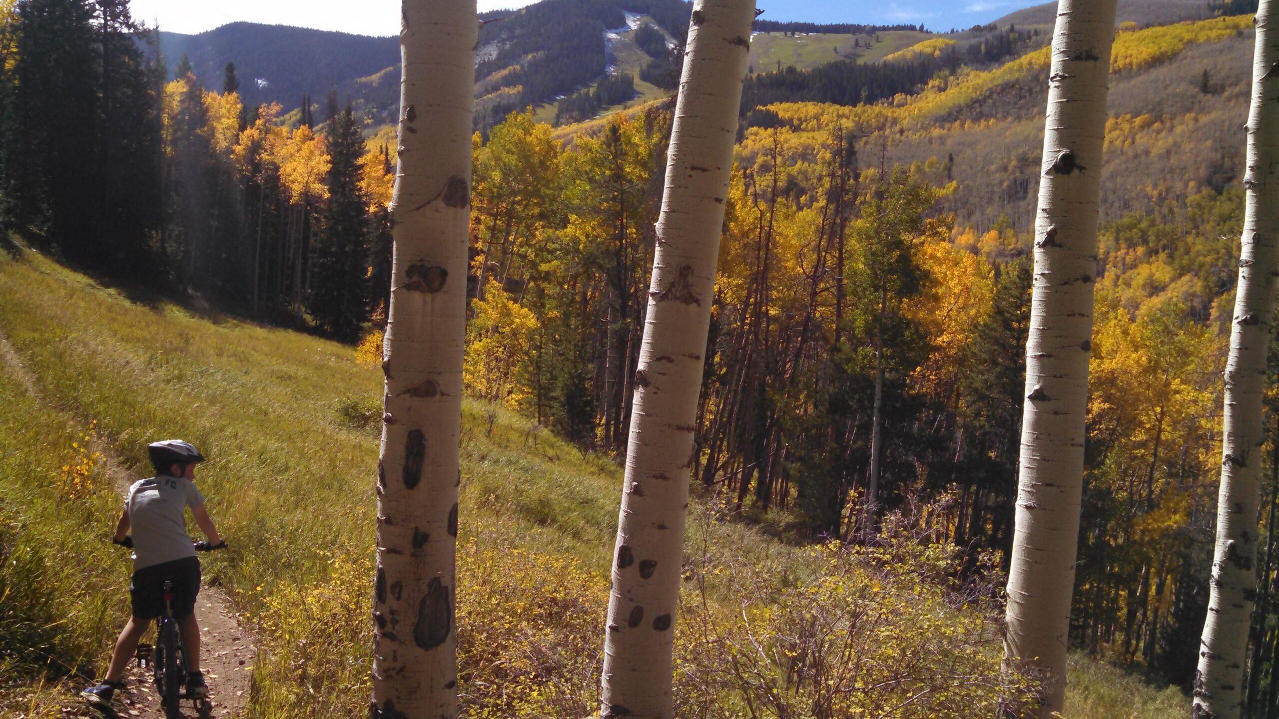 A child riding a bicycle on a dirt trail surrounded by tall aspen trees, with vibrant autumn foliage in the background. The landscape features rolling hills and a clear blue sky. Beaver Creek Ski Resort mountain bike trail.