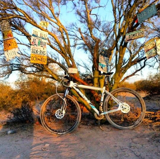 A mountain bike is leaning against a tree adorned with various license plates, surrounded by desert vegetation under a warm sunset sky. Fantasy Island mountain bike trail.