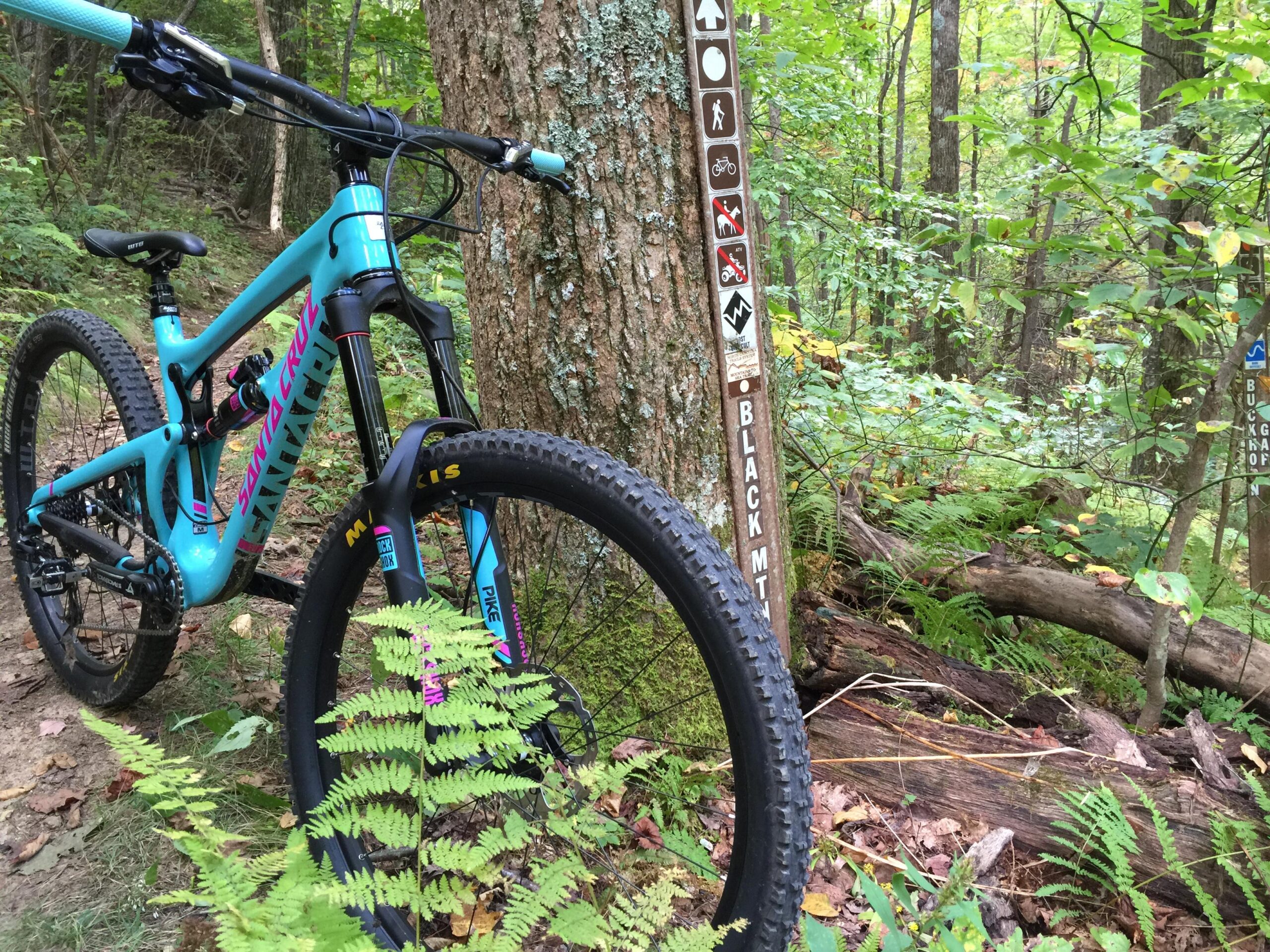 Santa Cruz Nomad Carbon: A mountain bike leaning against a tree on a forest trail, with a trail marker indicating "Black Mountain" and various activity icons visible. Surrounding vegetation includes ferns and greenery, showcasing a natural, outdoor setting.