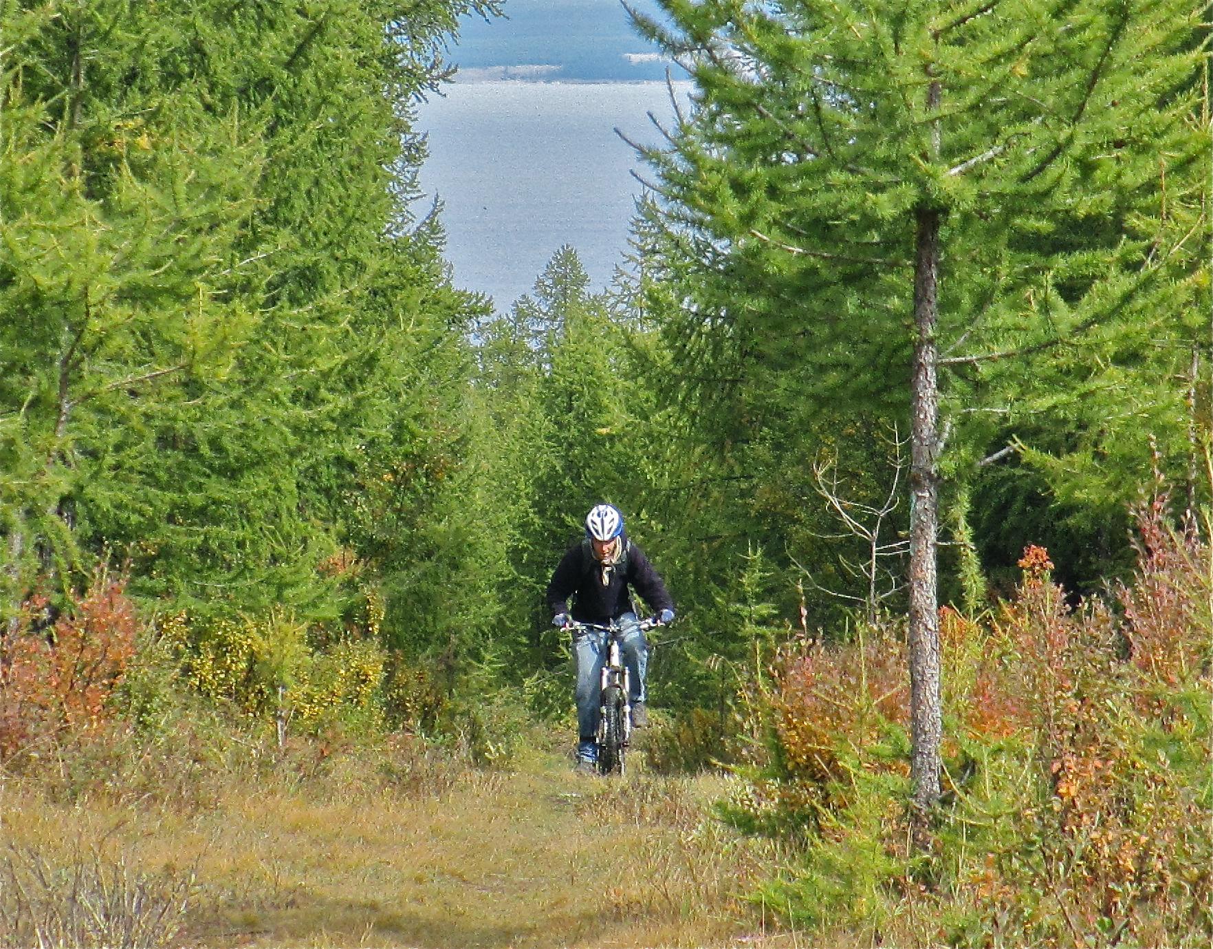 A mountain biker climbs a trail surrounded by lush green trees, with a lake visible in the background. The scene captures the beauty of nature and outdoor activity. Jankhai Trail mountain bike trail.