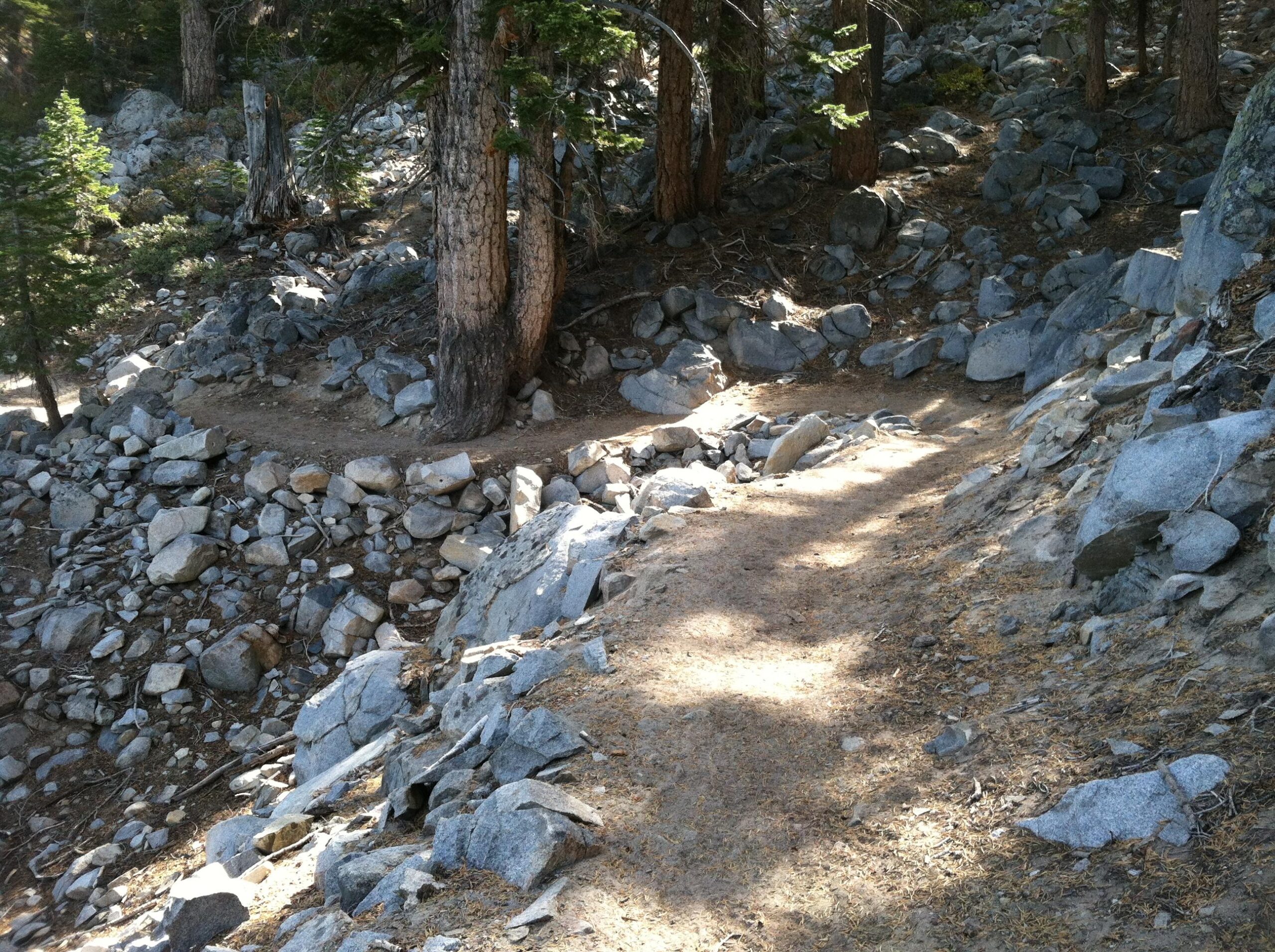A narrow dirt path winding through a rocky forest area, surrounded by large boulders and scattered pine trees. Sunlight filters through the trees, illuminating the trail and creating shadows on the ground. Mammoth Rock Trail mountain bike trail.