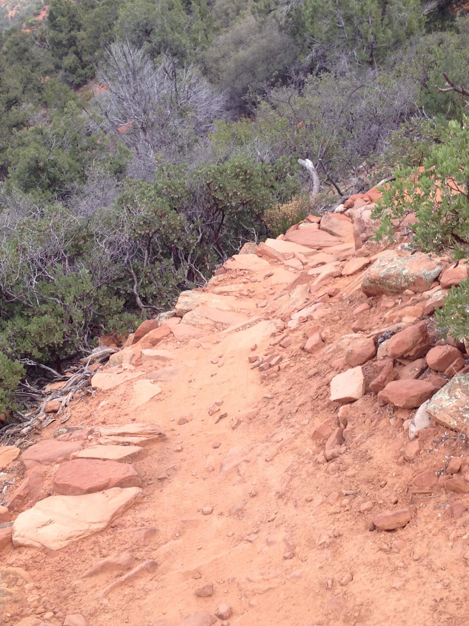 A narrow dirt path made of reddish-brown soil and scattered stones, surrounded by dense greenery and shrubs on either side, leading along a hillside. Hiline mountain bike trail.