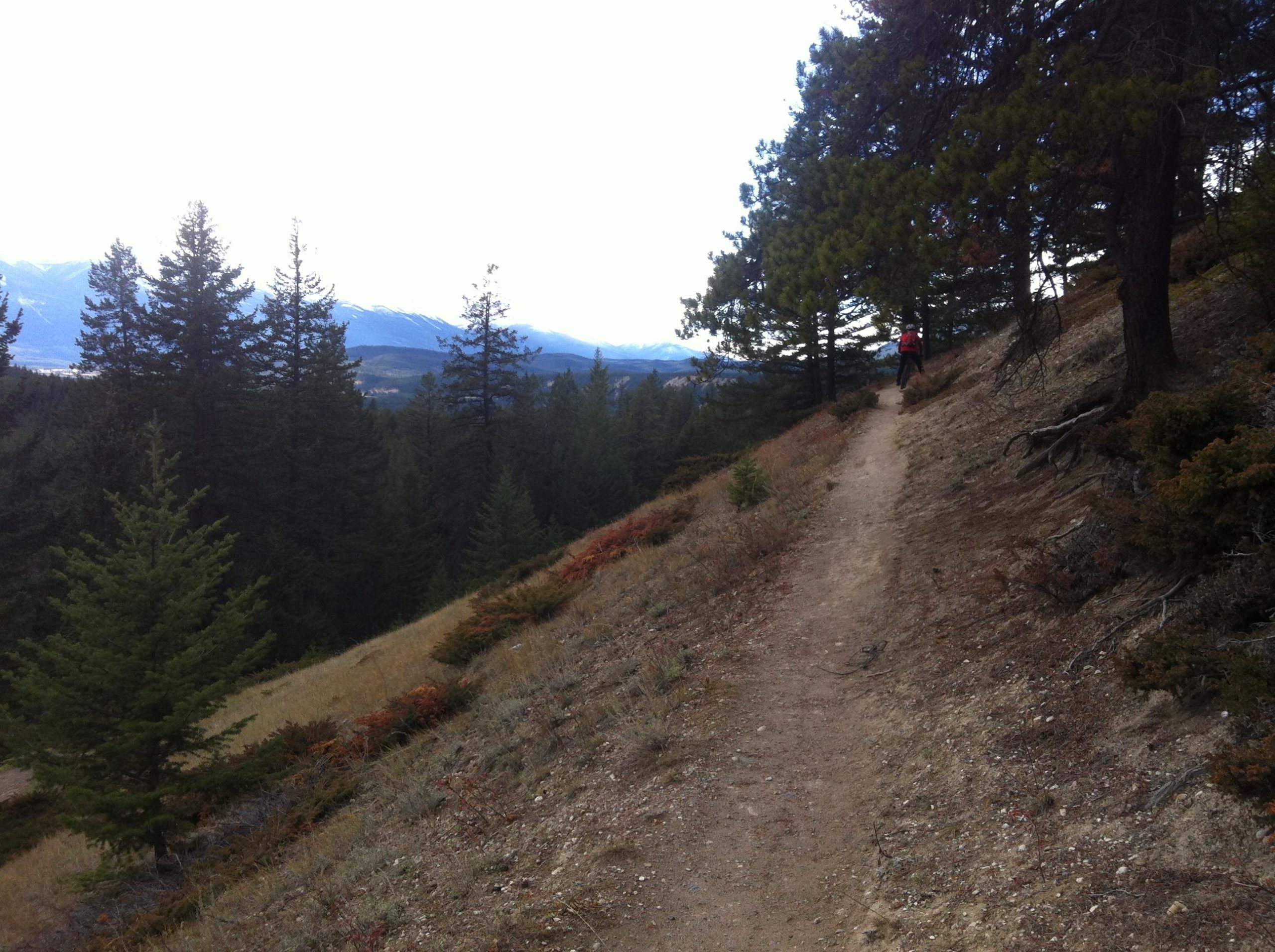 A winding dirt path along a hillside, bordered by trees and shrubs, leads through a forested area with a view of distant mountains under a cloudy sky. A hiker is visible in the distance on the trail. Trail 7 / 7H (Teahouse) mountain bike trail.