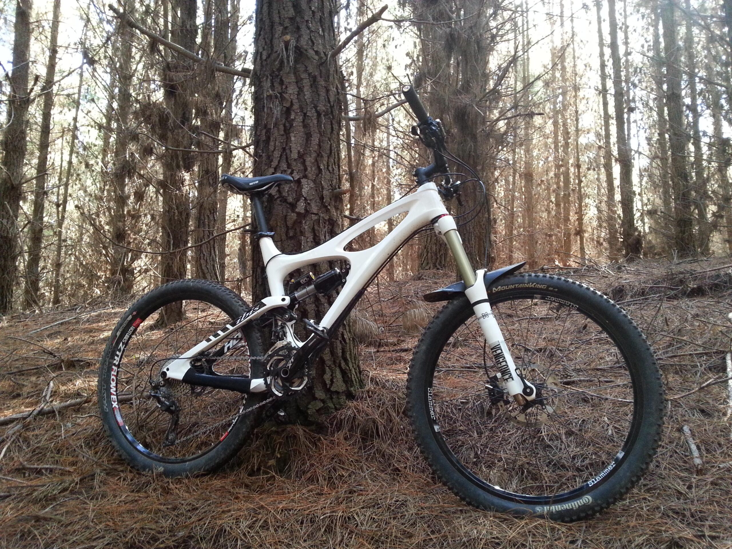 Ibis Mojo HD: A mountain bike leaning against a tree in a forest setting, surrounded by tall trees and pine needles on the ground. The bike features a white and black frame with distinctive wheels and a front suspension fork, highlighting its design for off-road riding. The soft sunlight filters through the forest, creating a serene atmosphere.