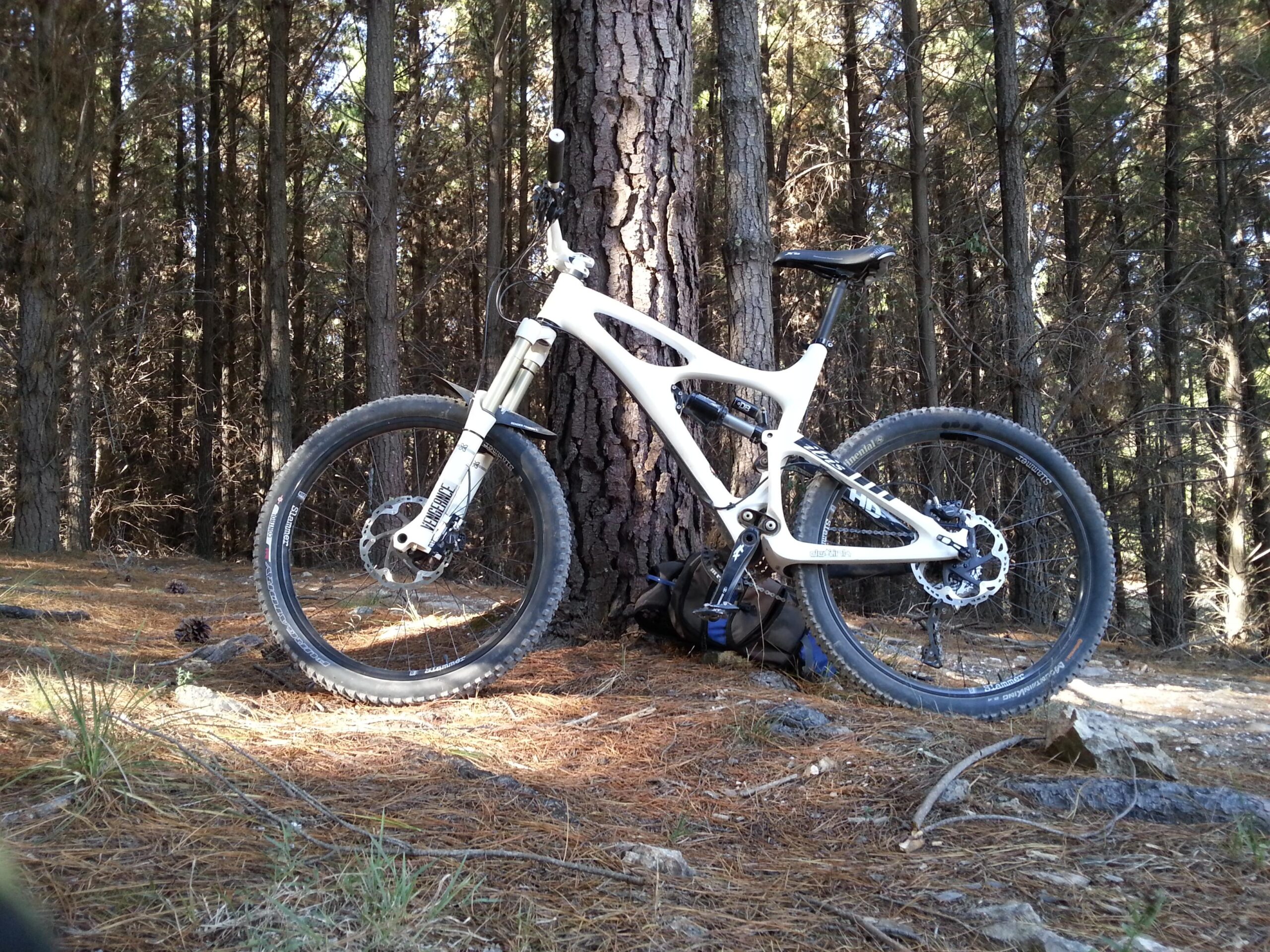 Ibis Mojo HD: A white mountain bike resting against a tree in a forested area, surrounded by tall pine trees and a bed of pine needles on the ground. A backpack is visible near the bike, suggesting outdoor activity.