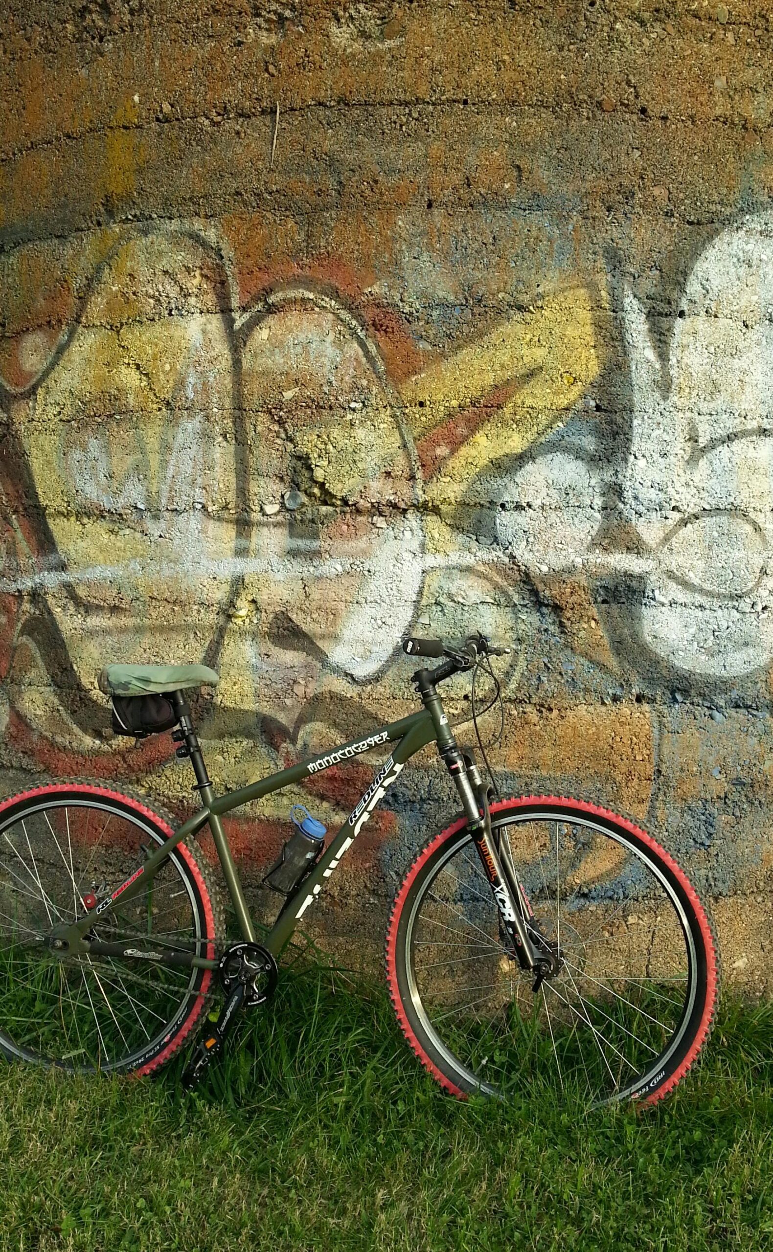 Redline Monocog 29er: A green mountain bike with red tires leans against a textured wall featuring colorful graffiti. The bike has a water bottle attached and is positioned on grass. The backdrop includes various shades of brown and blue, with abstract designs painted on the wall.