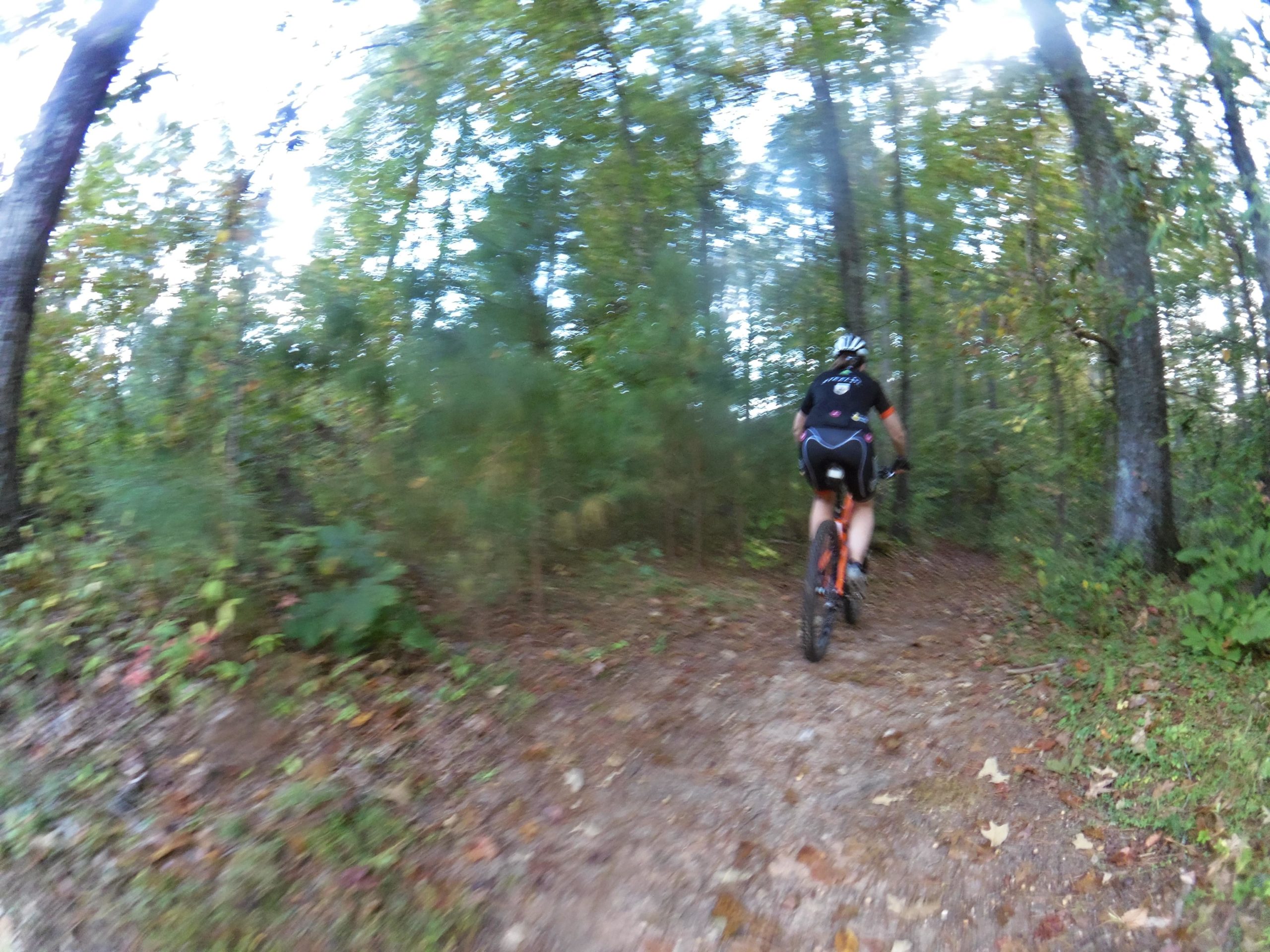 A cyclist riding a mountain bike along a wooded trail, surrounded by trees and greenery, with fallen leaves on the ground. The image is slightly blurred, suggesting motion as the rider navigates the path. Yellow River mountain bike trail.