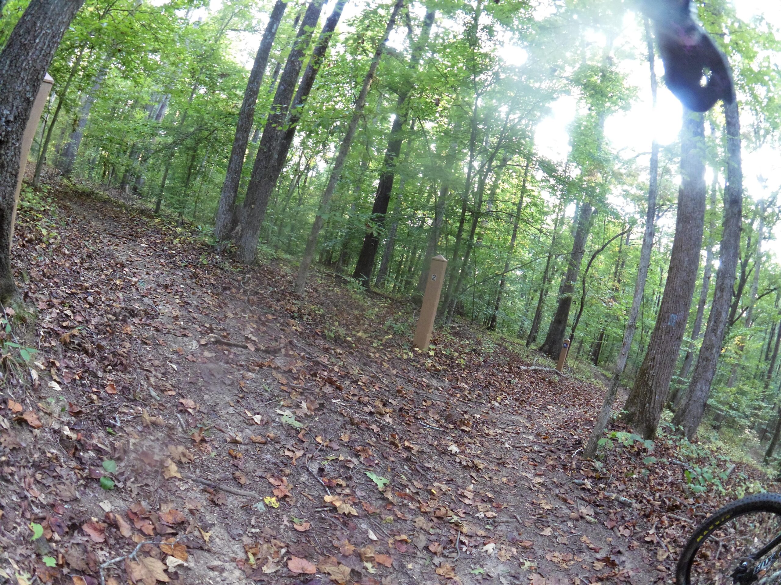 A narrow dirt trail winding through a wooded area, covered with autumn leaves. Vertical trail markers are visible along the path, surrounded by lush green trees and dappled sunlight filtering through the foliage. Yellow River mountain bike trail.