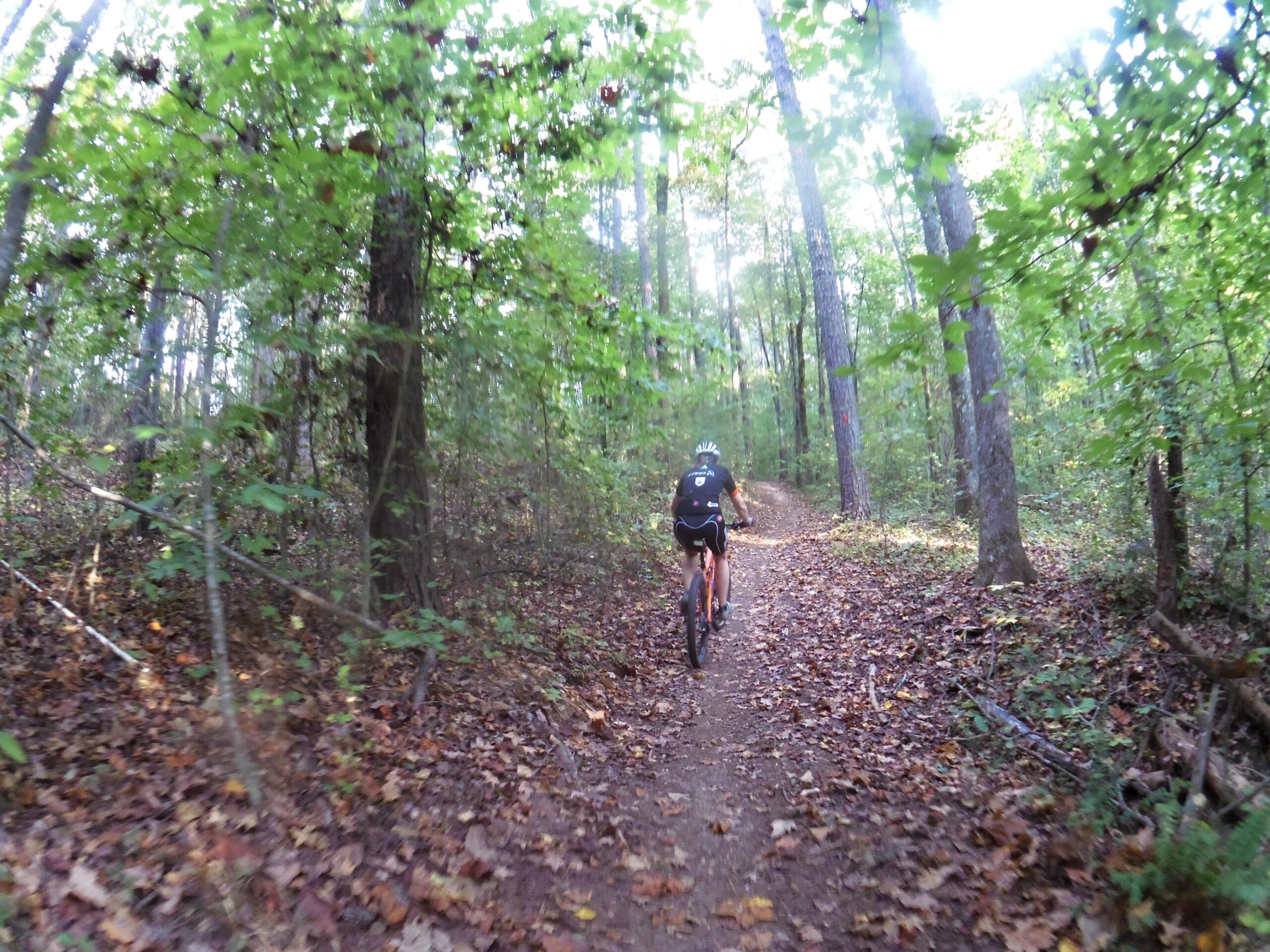 A mountain biker riding along a dirt path in a lush green forest, surrounded by tall trees and fallen leaves on the ground. Sunlight filters through the leaves, creating a serene outdoor atmosphere. Yellow River mountain bike trail.