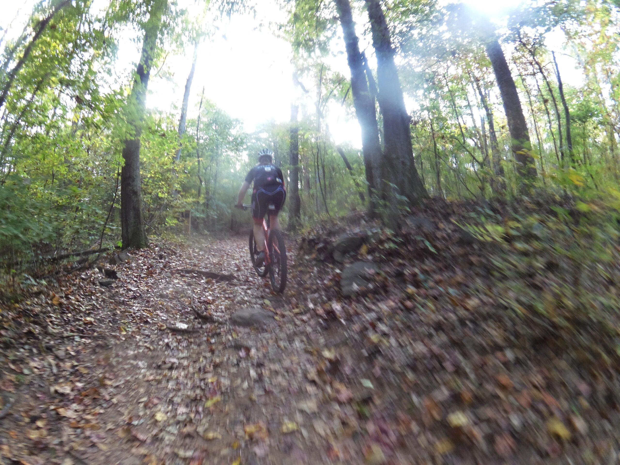 A cyclist riding a mountain bike along a wooded trail covered in fallen leaves, surrounded by tall trees and dappled sunlight filtering through the foliage. Yellow River mountain bike trail.