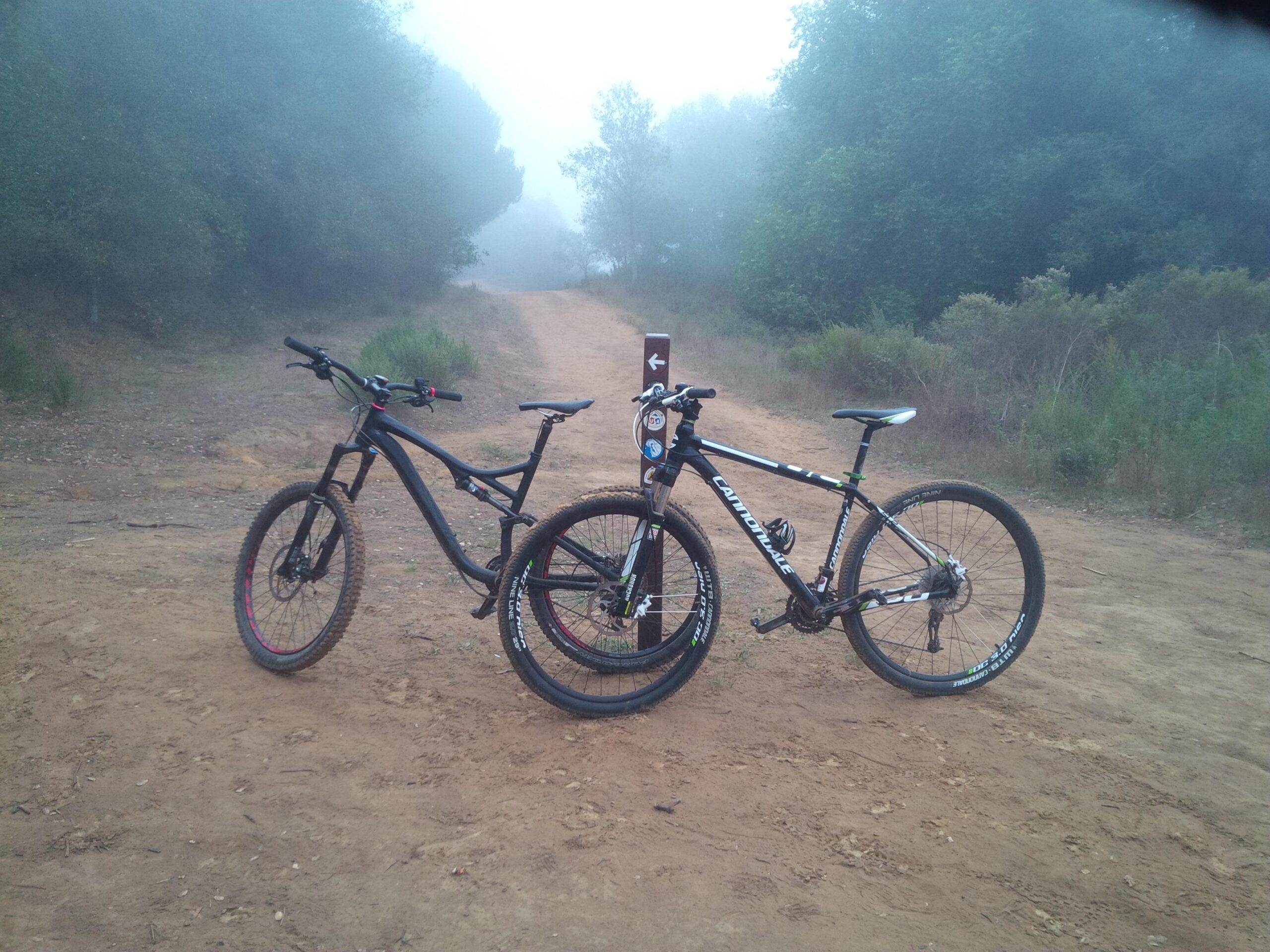 Specialized Stumpjumper: Two mountain bicycles are parked on a dirt path in a misty forest. One is black with red accents and larger tires, while the other is black and white with green highlights. A trail sign stands between the bikes, indicating directions for cyclists, surrounded by trees and underbrush in a foggy atmosphere.