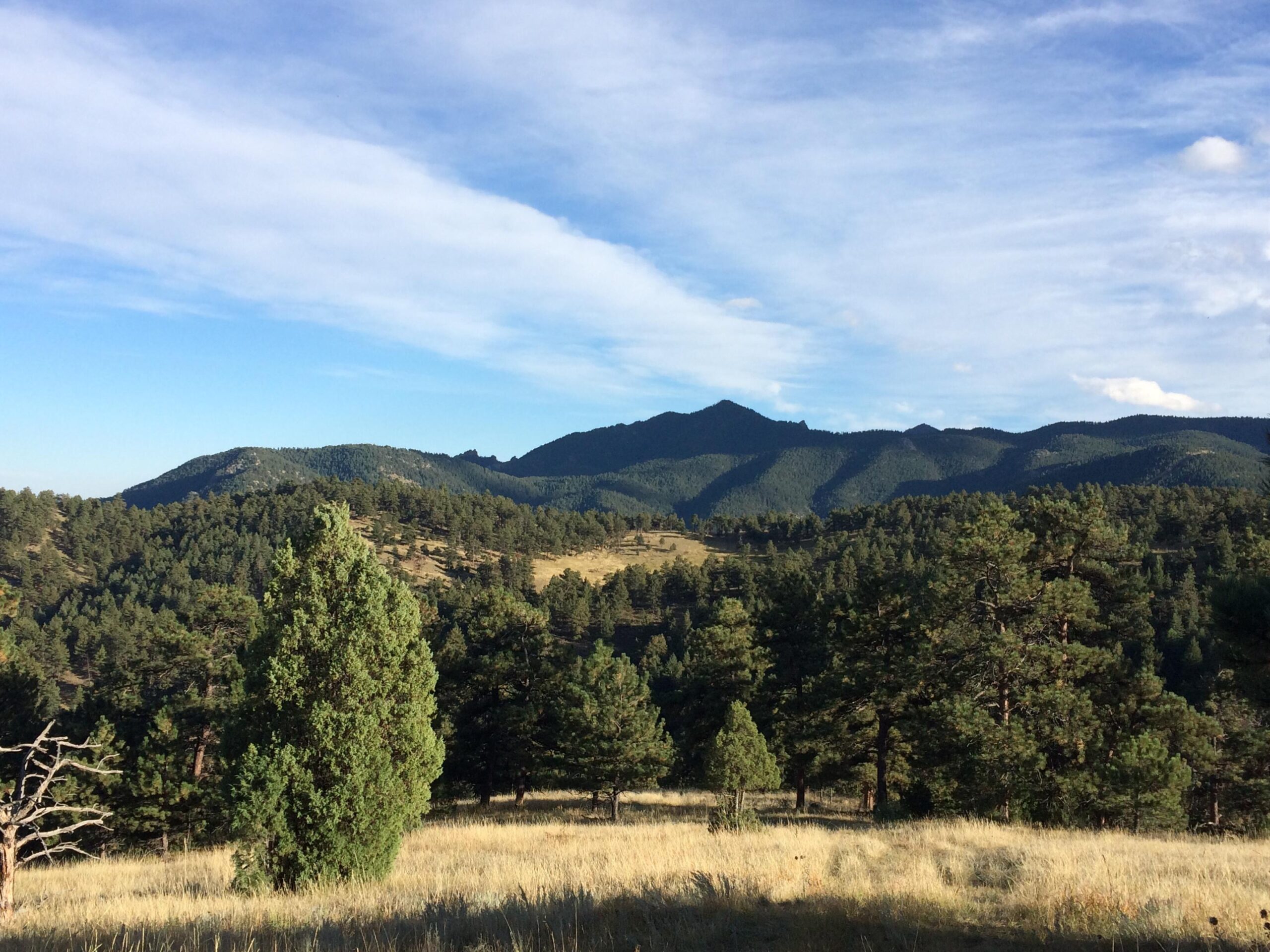 A serene view of a mountainous landscape, featuring rolling hills covered in dense trees. The sky is partly cloudy, with a mix of blue and wispy white clouds. Sunlight casts a soft glow over the natural scenery, highlighting the texture of the grass and foliage in the foreground. Betasso Preserve mountain bike trail.