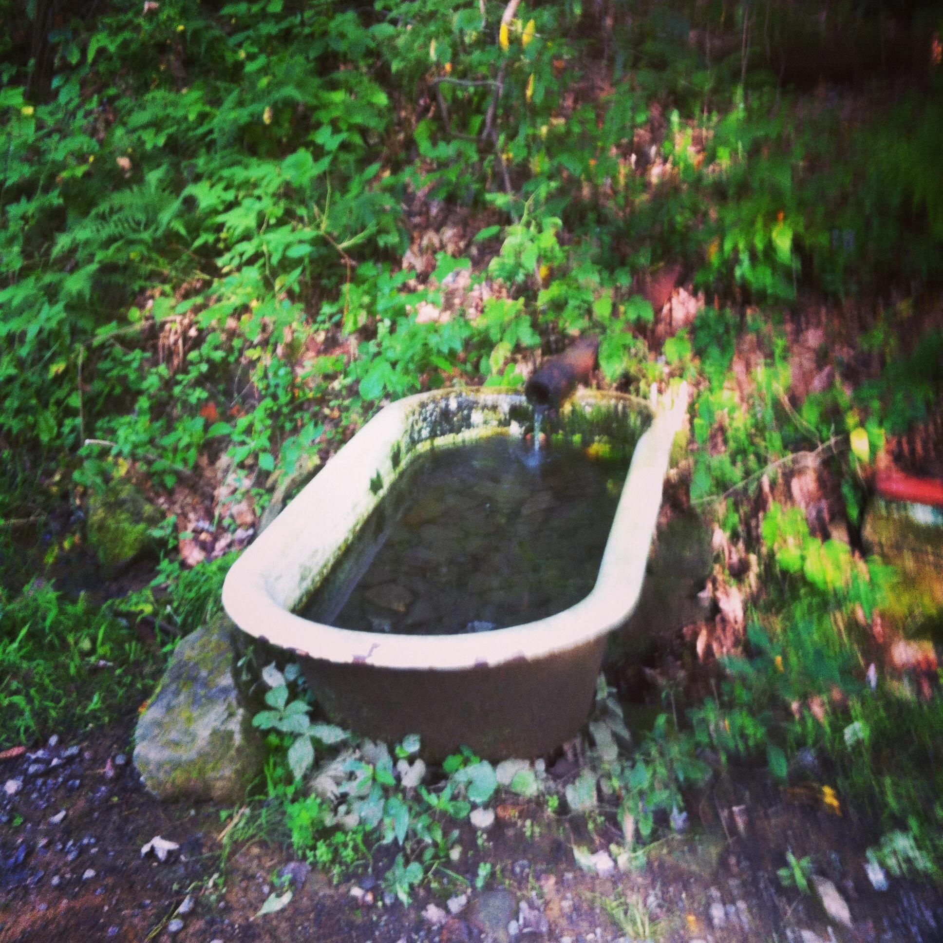  North Park mountain bike trail.