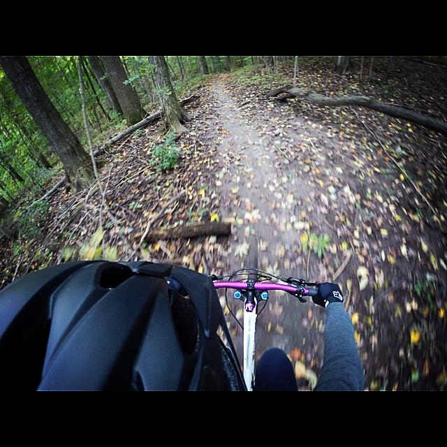 A mountain biker riding on a leaf-covered trail through a wooded area, capturing a dynamic view of the handlebars and the forest surroundings. The scene conveys a sense of movement and adventure in nature. Hydrocut mountain bike trail.
