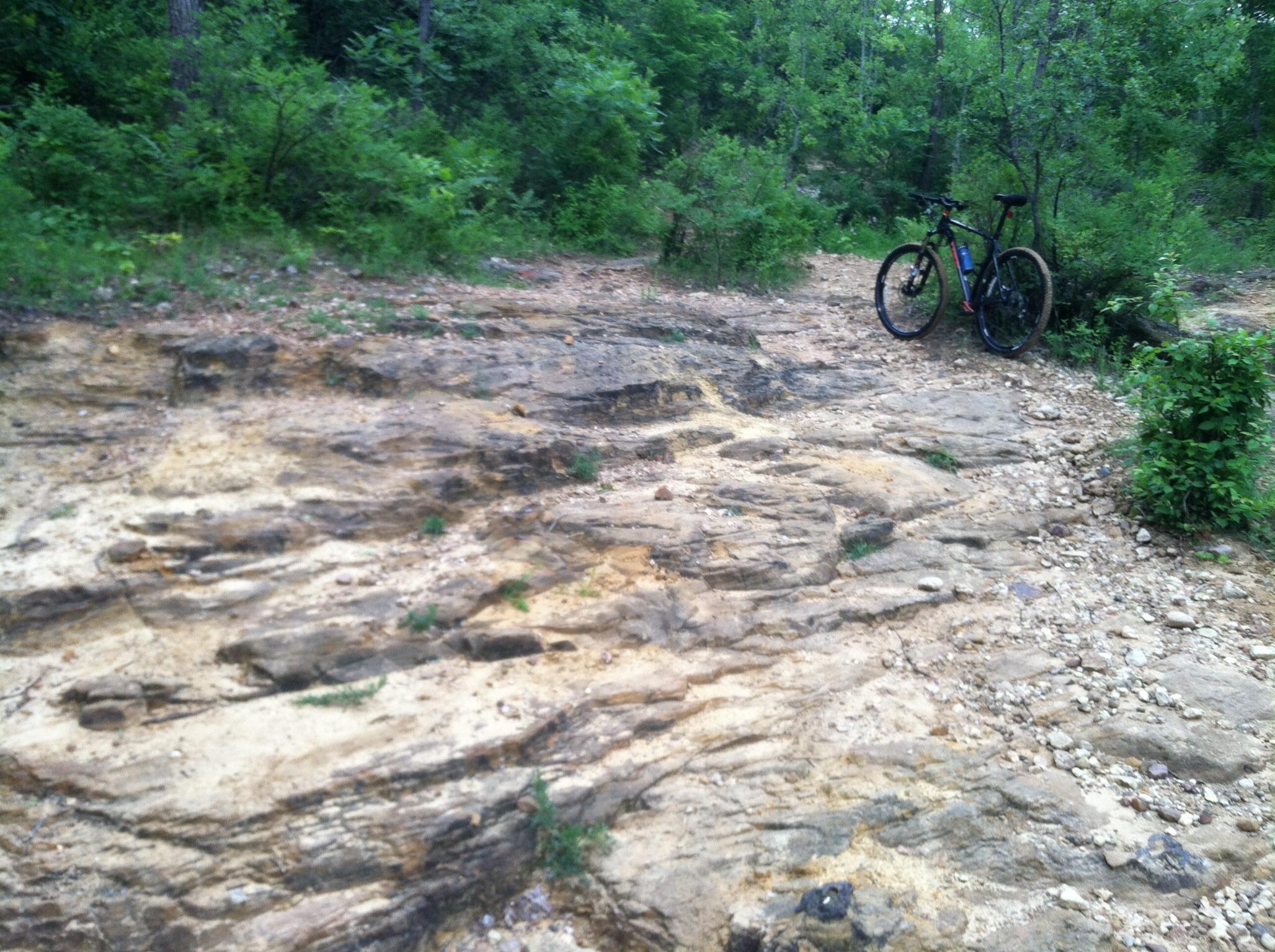 A mountain bike is parked on a rocky, dirt trail surrounded by greenery and trees. The terrain is uneven with exposed rocks and patches of dirt, indicating a natural outdoor setting suitable for biking. Quarry Ridge Park mountain bike trail.