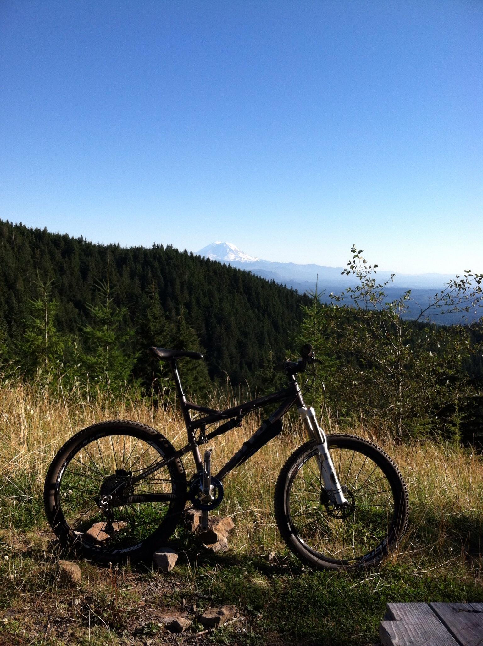 Titus Moto Lite: A black mountain bike resting on the ground, surrounded by tall grasses and rocky terrain, with a lush green forest in the background and a snow-capped mountain visible in the distance under a clear blue sky.
