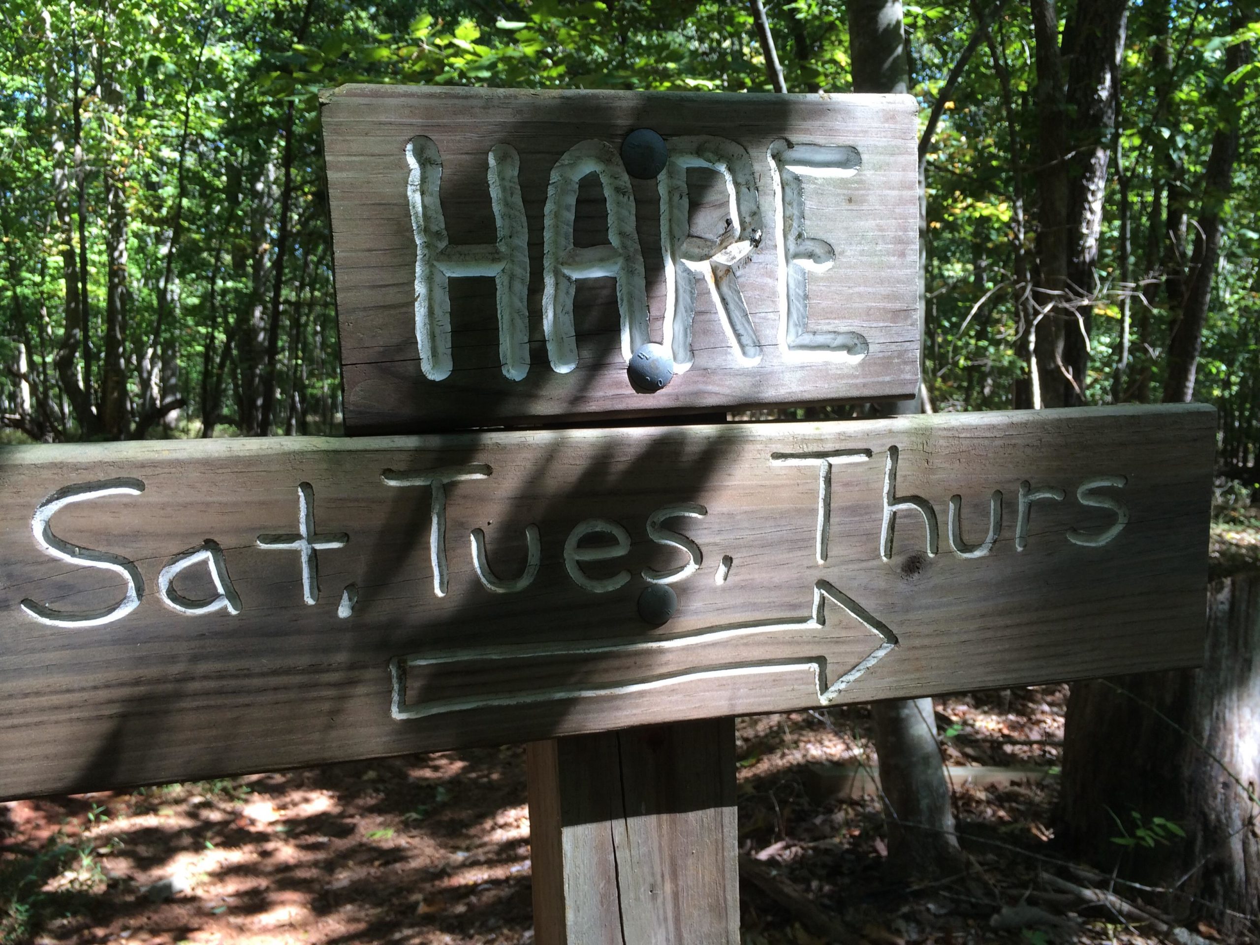 Wooden trail sign indicating "HARE" with directions to the left. Below, it lists the days "Sat, Tues, Thurs," suggesting scheduled activities or meetings. Surrounded by dense greenery and sunlight filtering through the trees. Hare Trail mountain bike trail.