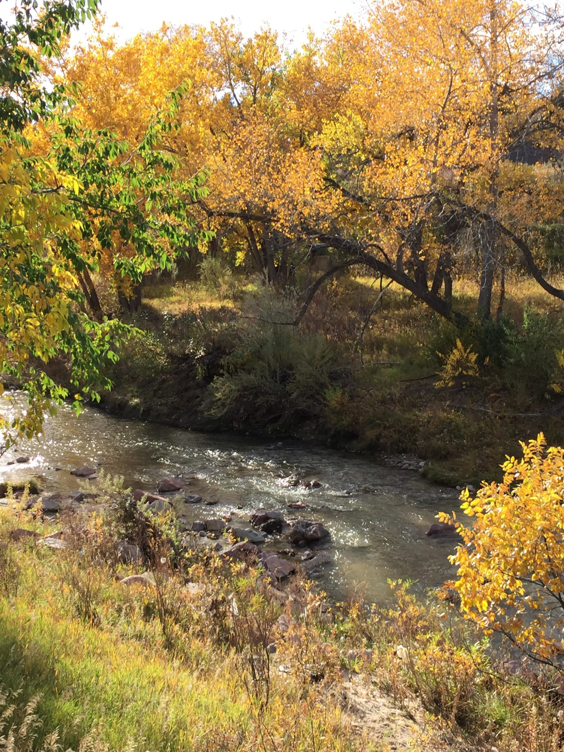 A serene river winding through a landscape adorned with vibrant autumn foliage. The trees exhibit shades of yellow and green, reflecting the colors of fall. The gently flowing water glistens in the sunlight, with rocks visible beneath the surface, surrounded by grassy banks and scattered wildflowers. Santa Fe Trail mountain bike trail.