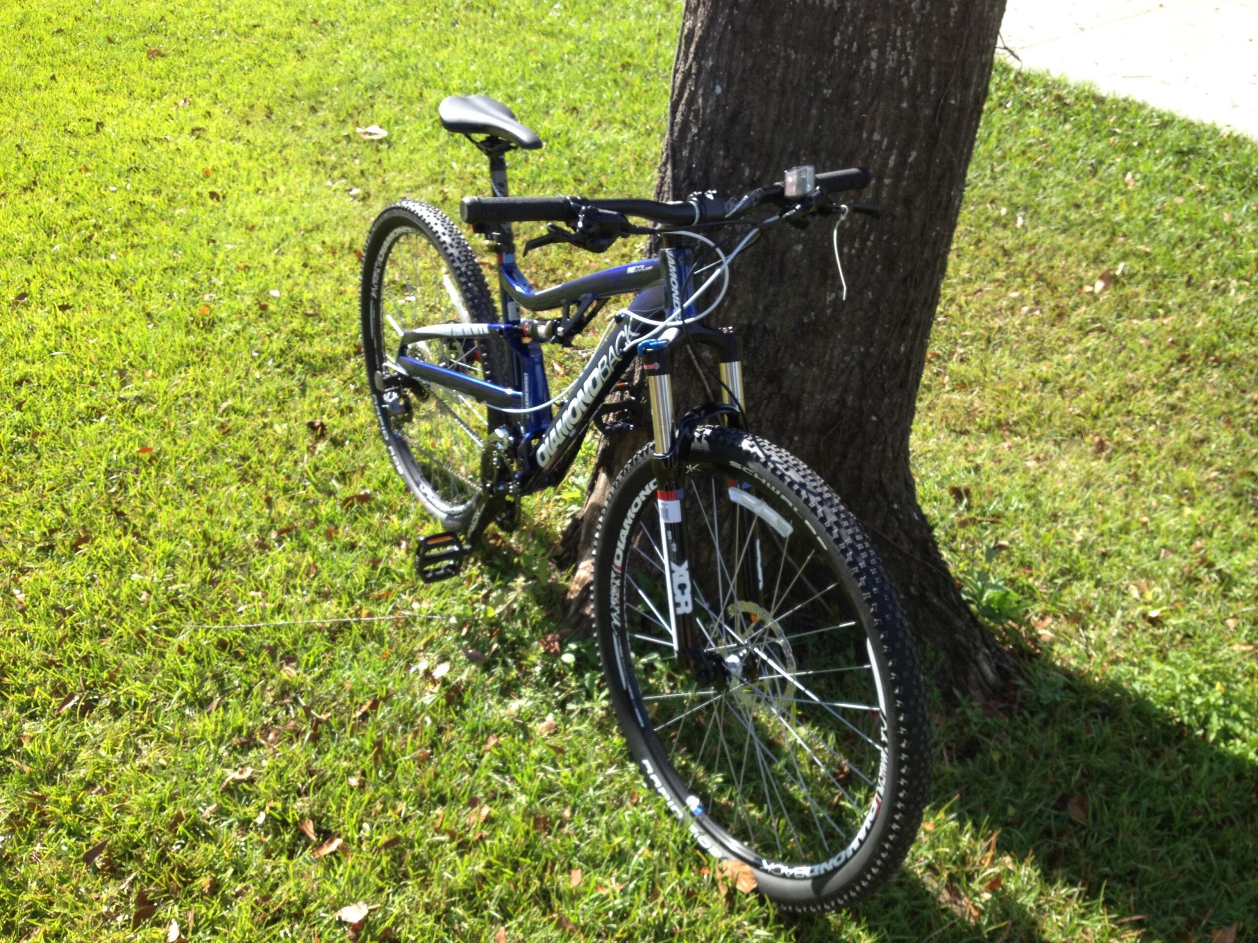 Diamondback Recoil Comp 29er: A blue mountain bike leaning against a tree, positioned on a grassy area with sunlight illuminating the scene.