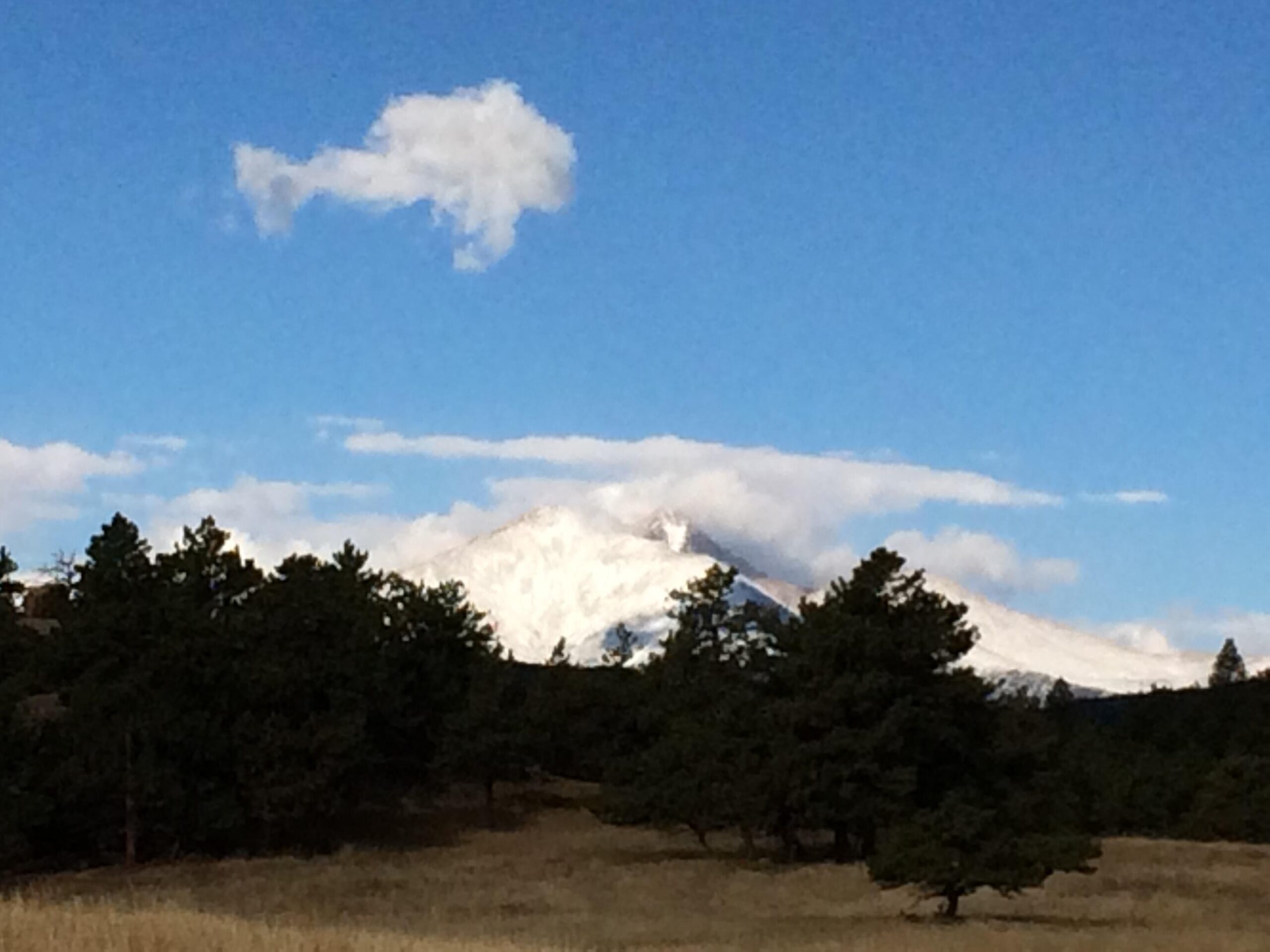 A scenic view of a snow-capped mountain range under a bright blue sky with scattered clouds, framed by dark green trees in the foreground. Hall Ranch mountain bike trail.