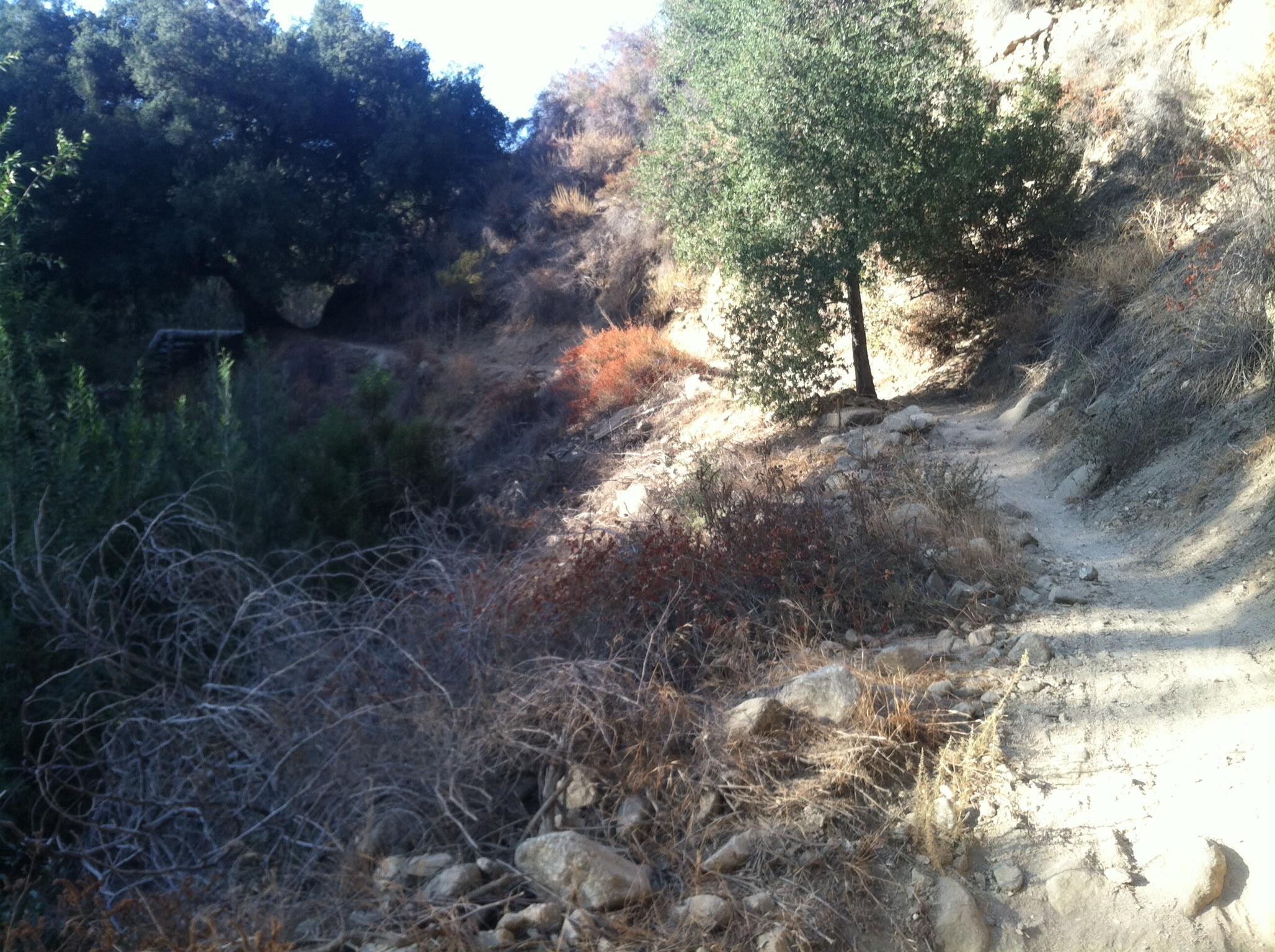 A winding dirt path through a hilly landscape, bordered by rocky terrain and sparse vegetation. Sunlight filters through trees on the hillside, illuminating patches of dry grass and shrubs in autumn colors. El Prieto mountain bike trail.