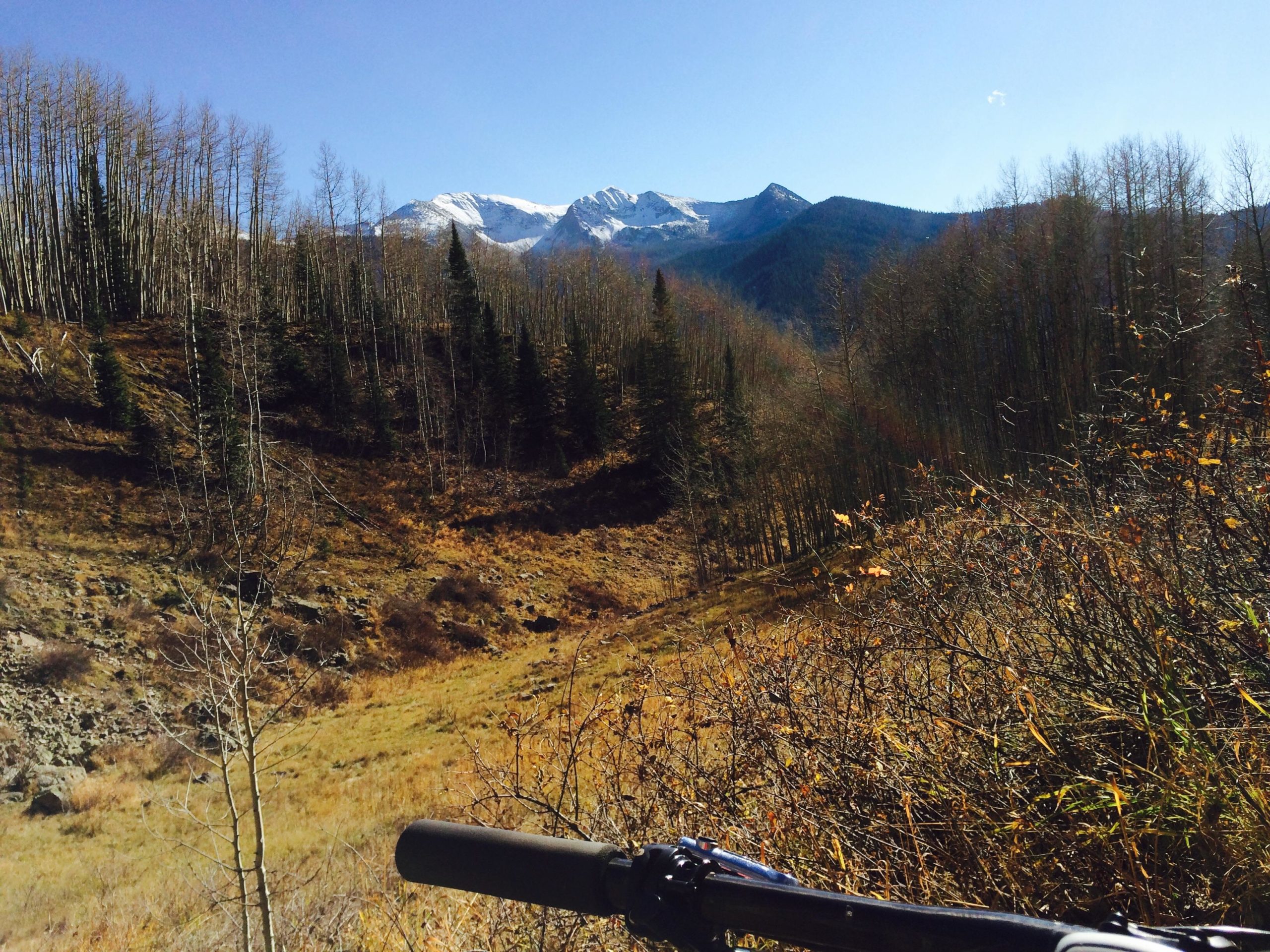 A picturesque view of a mountain landscape featuring a mix of evergreen and deciduous trees in autumn colors. In the foreground, a bicycle handlebar is visible, framing the scene. The background showcases snow-capped peaks under a clear blue sky, with hints of golden grass and rocky terrain. Dyke mountain bike trail.