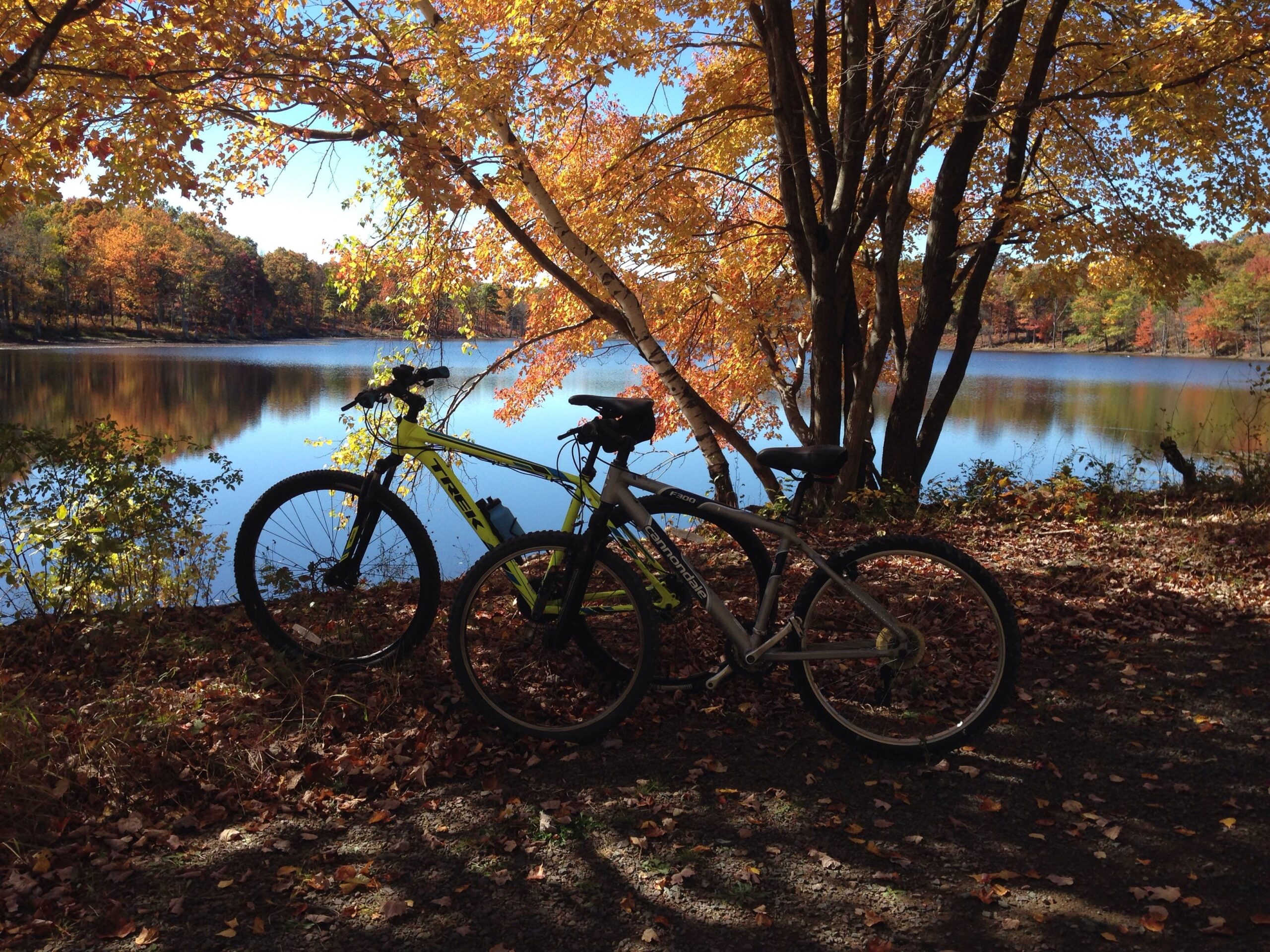 Two mountain bikes are parked beside a tranquil lake surrounded by trees with vibrant autumn foliage. The scene is reflected in the calm water, and colorful leaves blanket the ground, creating a picturesque fall setting. Blackdiamond mountain bike trail.