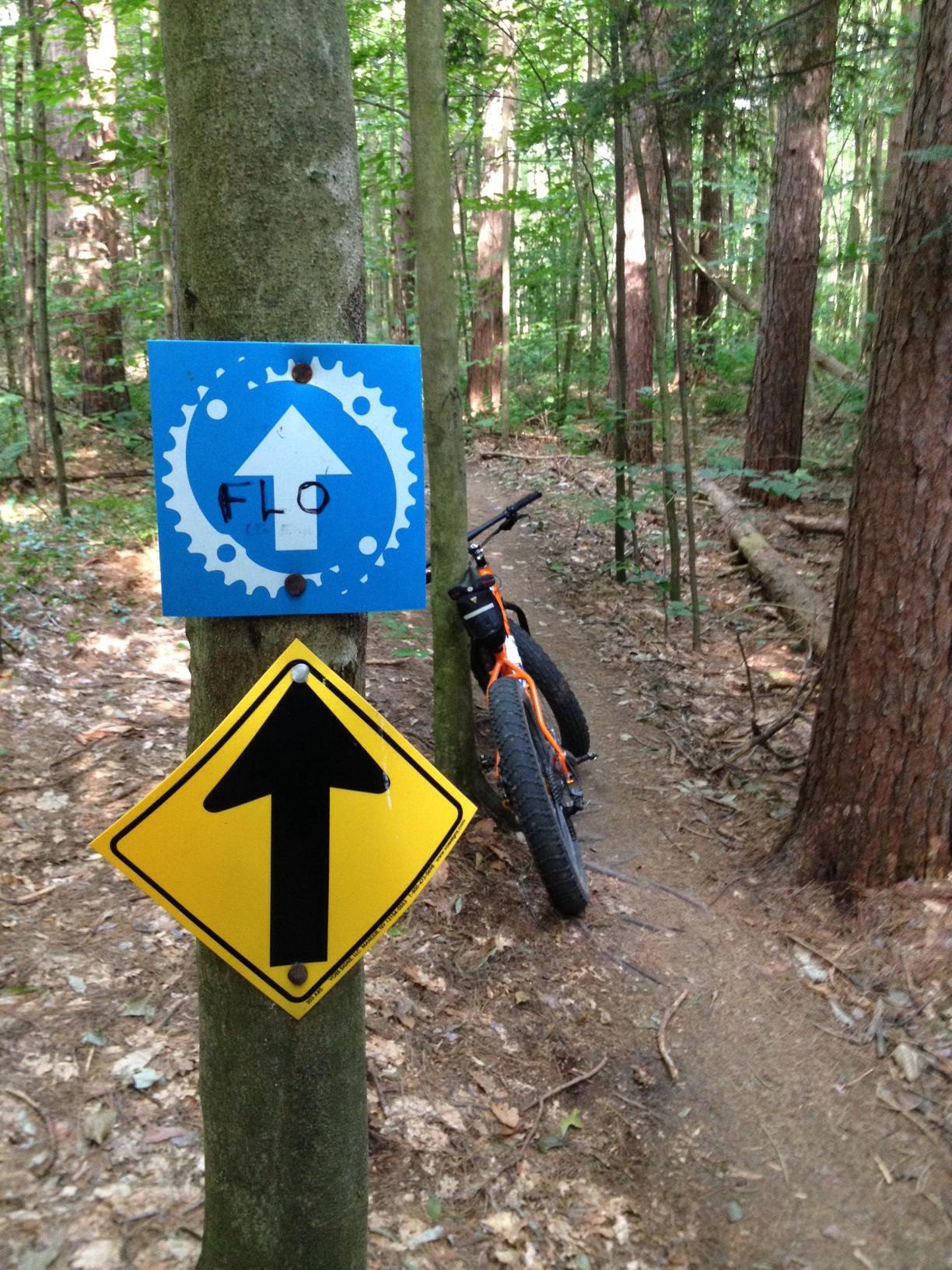 A narrow dirt trail in a forest, featuring a blue sign with a white arrow and the word "FLO," indicating a biking path, and a yellow directional arrow sign attached to a tree. An orange bicycle is parked next to the trail, surrounded by greenery and trees. Saxon Hill mountain bike trail.