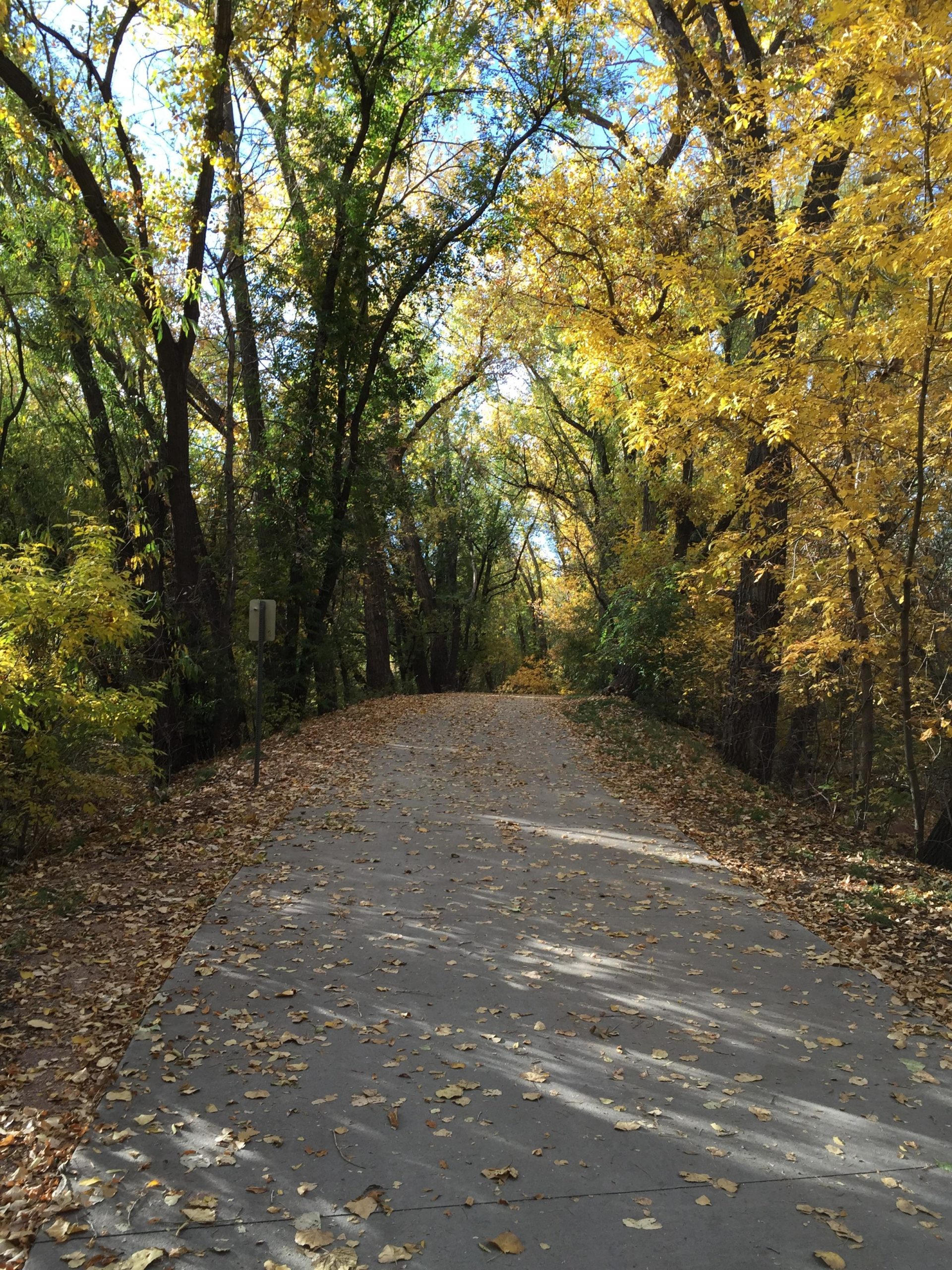 A serene pathway lined with trees displaying autumn foliage, featuring vibrant yellow and green leaves. The paved trail is scattered with fallen leaves, leading into a peaceful wooded area under a clear blue sky. Santa Fe Trail mountain bike trail.