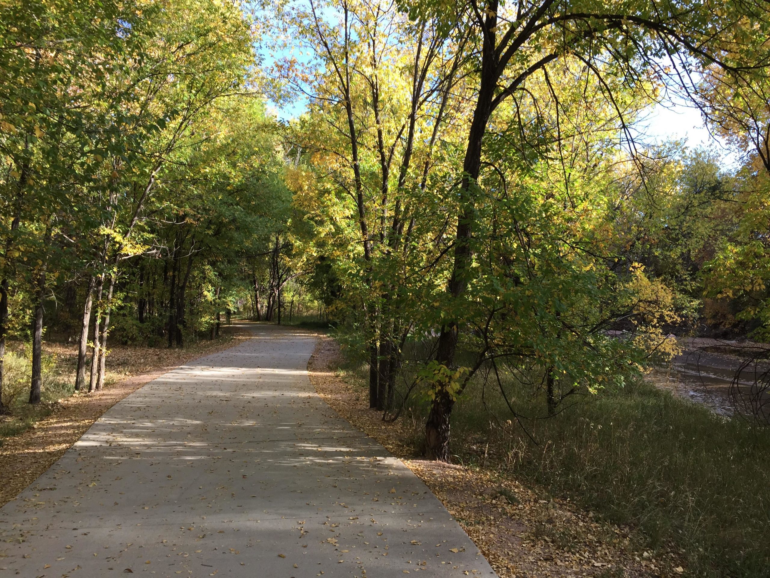 A winding concrete pathway surrounded by trees with vibrant green and yellow foliage, leading through a scenic wooded area, with fallen leaves scattered along the trail and a glimpse of a waterway visible on the right side. Santa Fe Trail mountain bike trail.