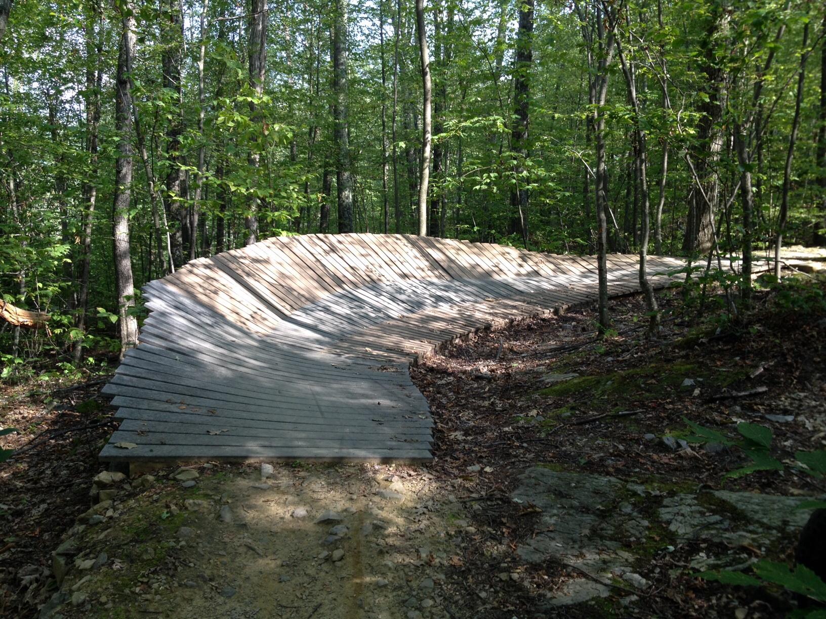 A wooden cycle path curving through a forest, surrounded by lush green trees and undergrowth. The path is constructed with slatted boards, creating a smooth surface that winds gently, blending into the natural surroundings. Pine Hill Park mountain bike trail.