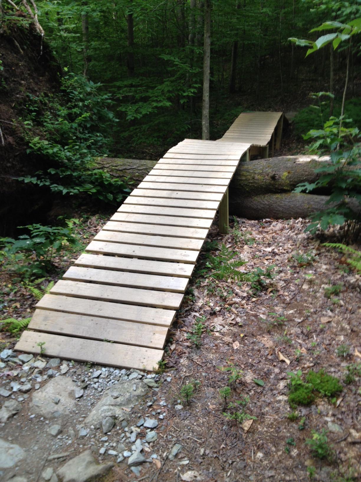 A wooden footbridge curves over a fallen tree, surrounded by lush green forest foliage. The bridge features several wooden slats and is positioned over a natural path, blending harmoniously with the woodland environment. Mud Pond Loop mountain bike trail.