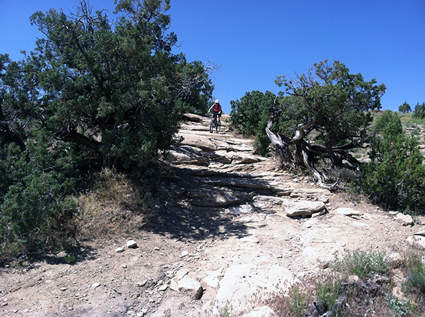 A cyclist navigating a rocky trail surrounded by greenery under a clear blue sky. The pathway is uneven with large stones, indicating a challenging terrain for mountain biking.