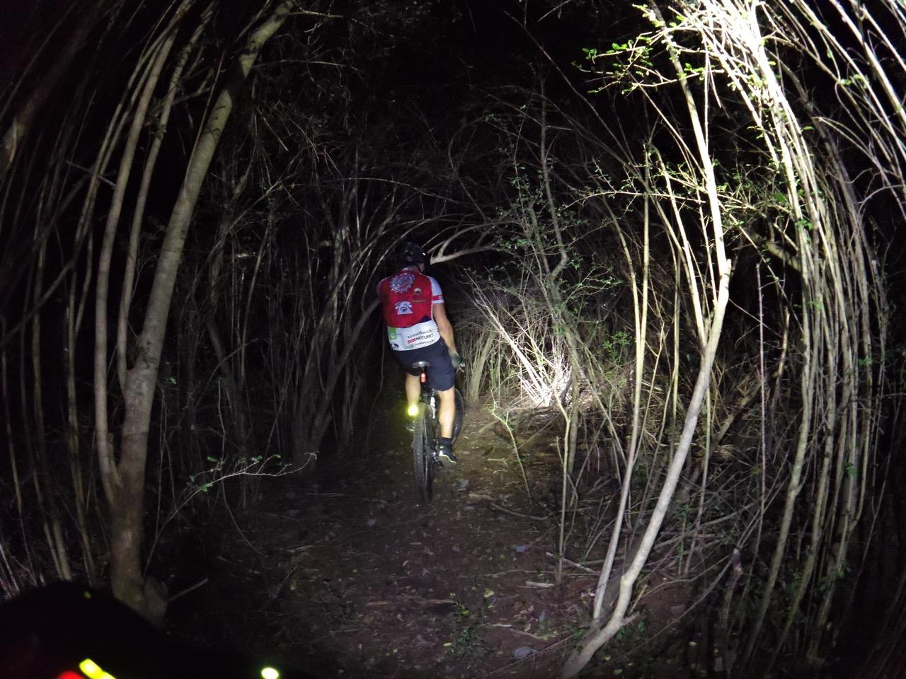 A mountain biker navigates a dark, narrow trail surrounded by dense foliage, illuminated only by a headlight. The scene captures the sense of adventure and challenge in night riding through a forested area. Waterworks / Mason Mill mountain bike trail.