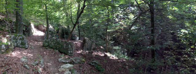 A serene forest path winding through lush green foliage, with scattered rocks and a carpet of fallen leaves on the ground. Sunlight filters through the dense canopy, creating a peaceful and inviting atmosphere. Upper Buffalo Headwaters Trail System mountain bike trail.