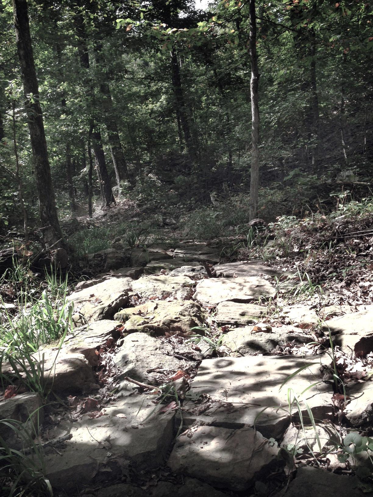 A rocky path winding through a wooded area, surrounded by tall trees and lush green foliage, with patches of sunlight illuminating the stones and surrounding grass. Upper Buffalo Headwaters Trail System mountain bike trail.