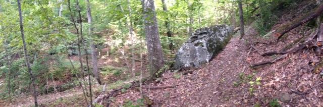 A wooded trail in a forest, surrounded by lush green trees and foliage, with a large rock formation to the right. The ground is covered in fallen leaves, and the scene is dappled with natural light filtering through the canopy above. Upper Buffalo Headwaters Trail System mountain bike trail.