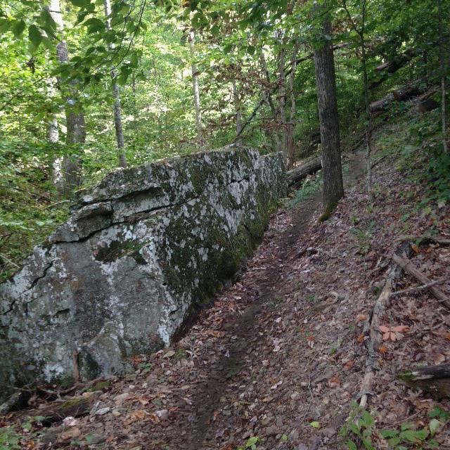 A rocky trail winding through a dense, green forest, with a large moss-covered boulder on the side and scattered fallen leaves on the path. Upper Buffalo Headwaters Trail System mountain bike trail.