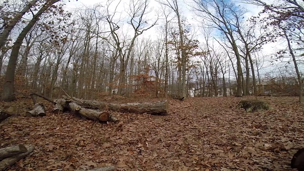 A wooded area in late autumn, featuring bare trees and a ground covered in fallen leaves. Several cut logs are scattered throughout the scene, with a glimpse of a suburban house in the background. The sky is partly cloudy, creating a serene, natural atmosphere. Trails seperated by streets mountain bike trail.